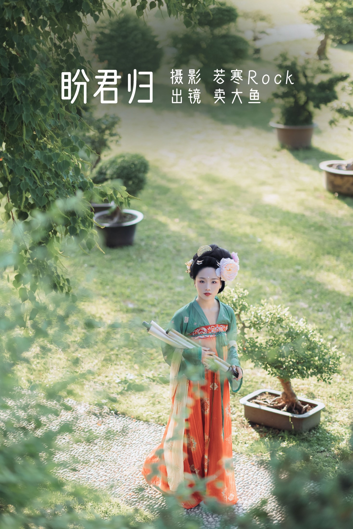 盼君归