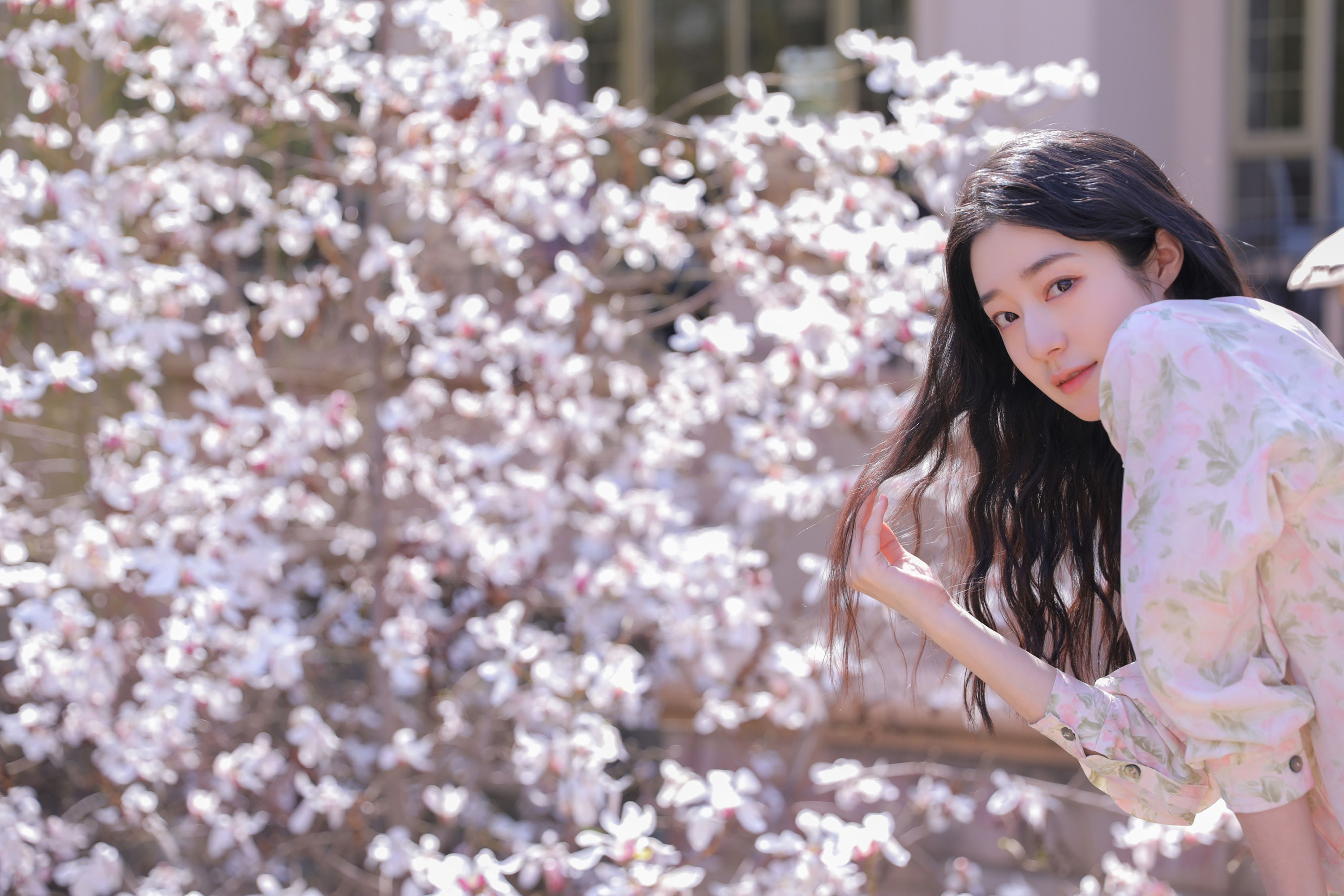 SS – 《遇见白花树》[20P]