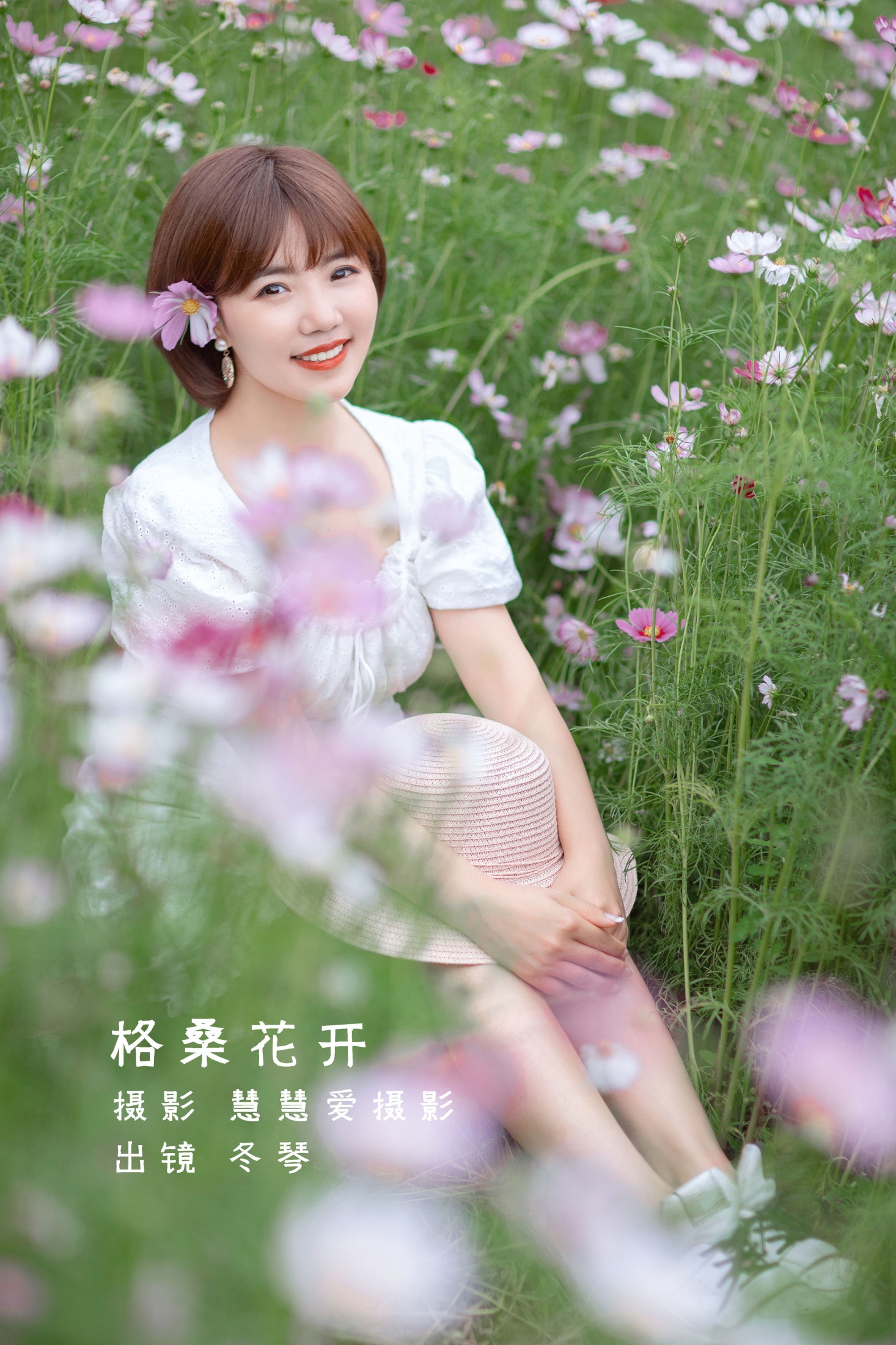 格桑花开