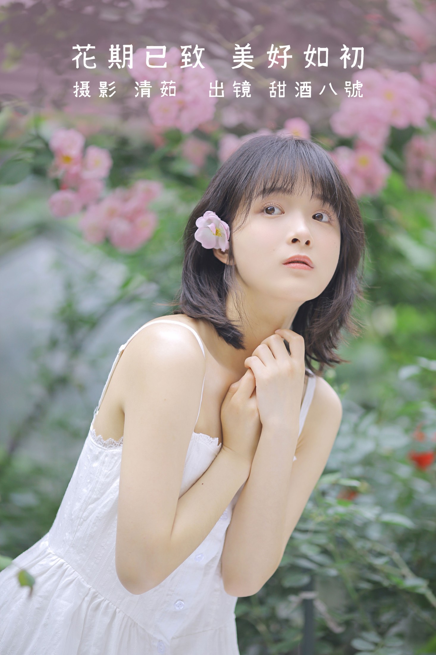 花期已致 美好如初