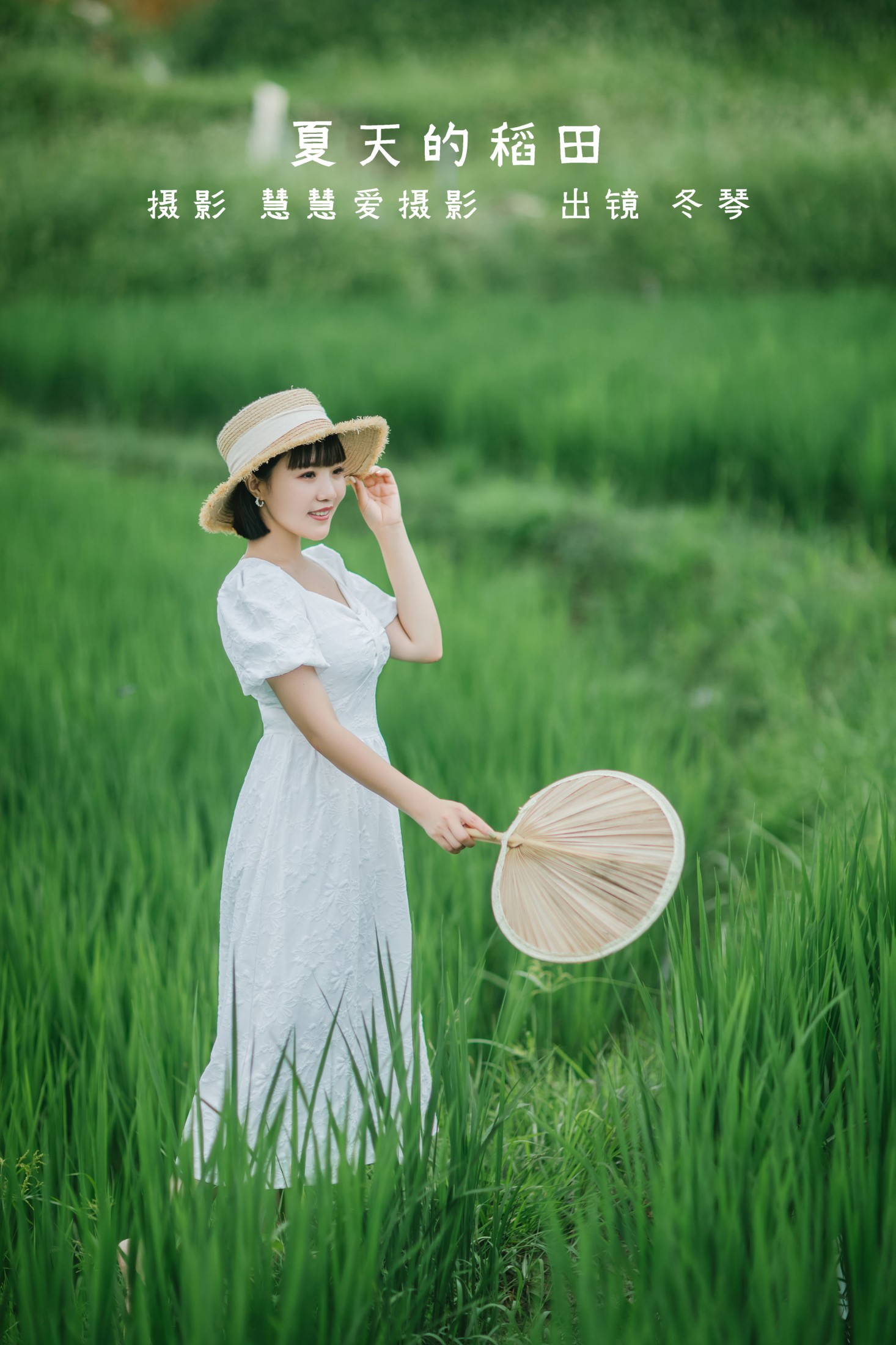 夏天的稻田