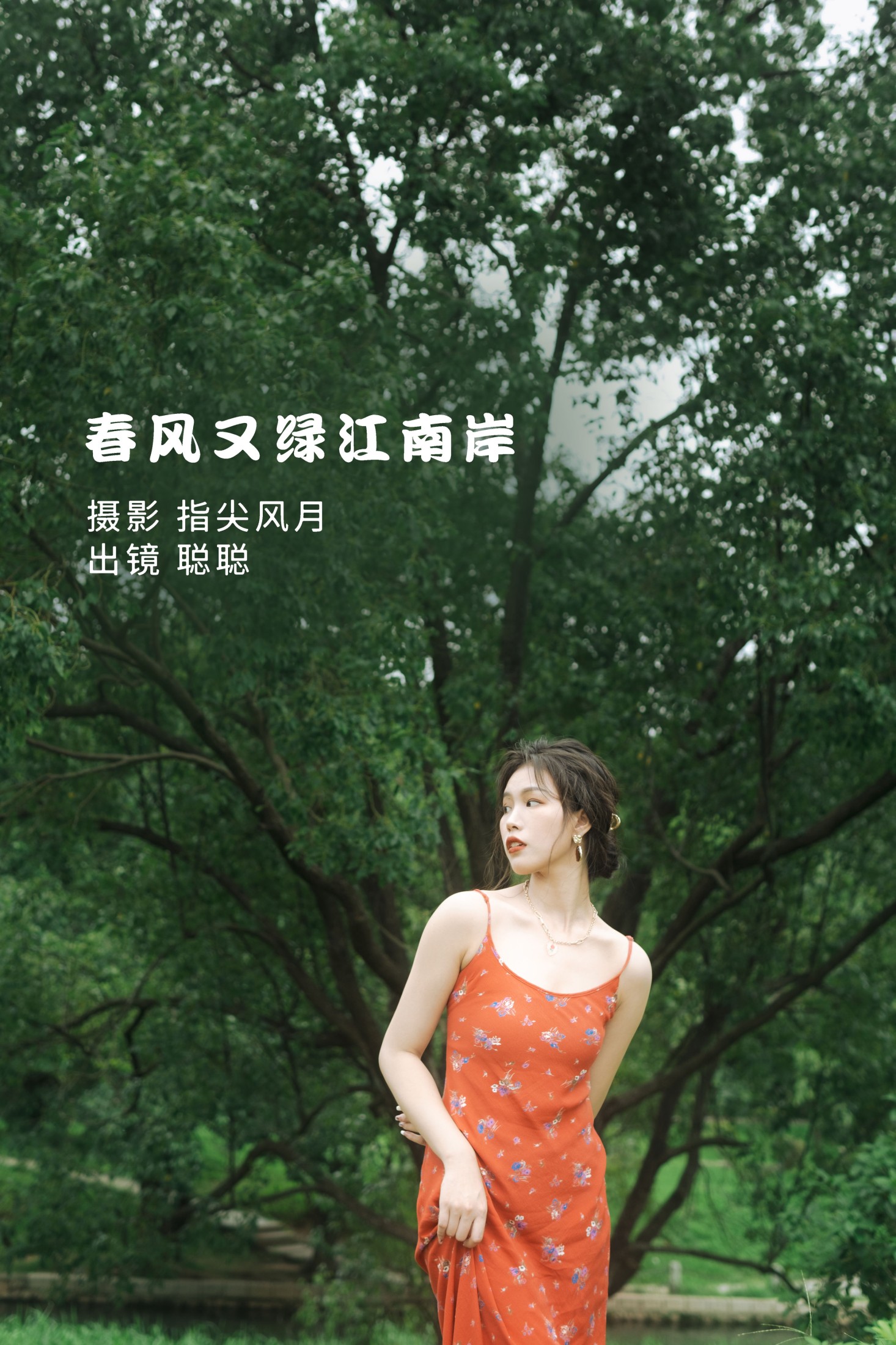 春风又绿江南岸