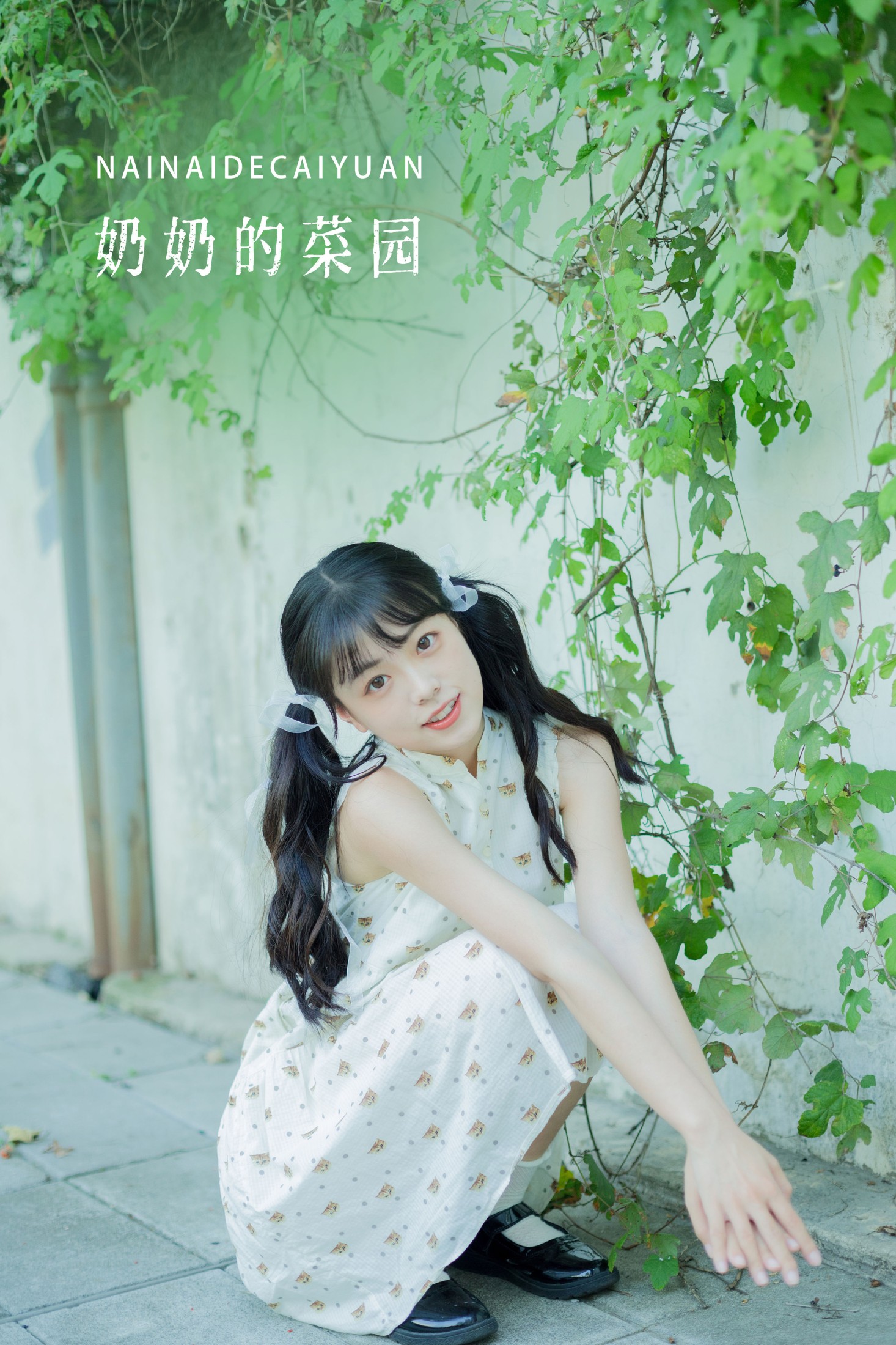 奶奶的菜园