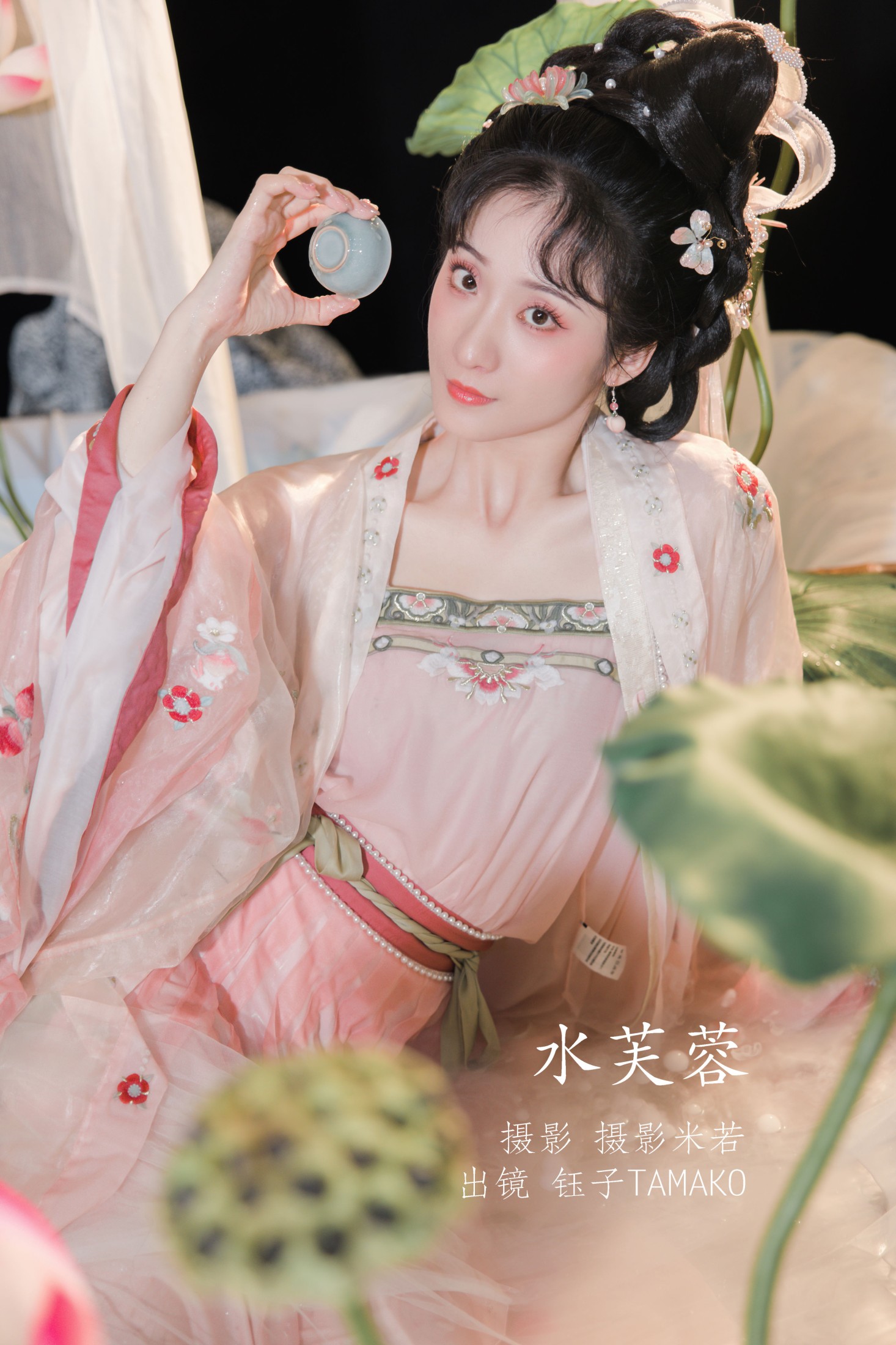 水芙蓉