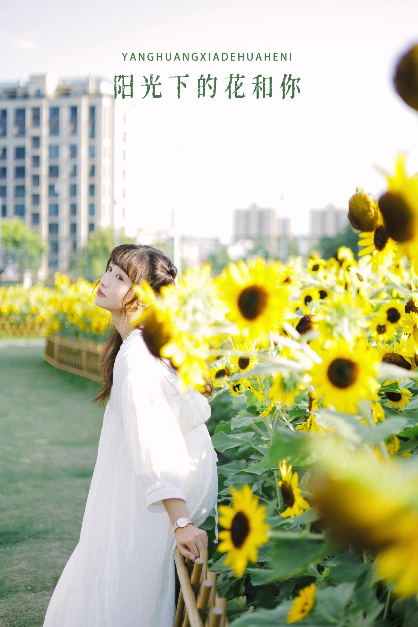 阳光下的花和你