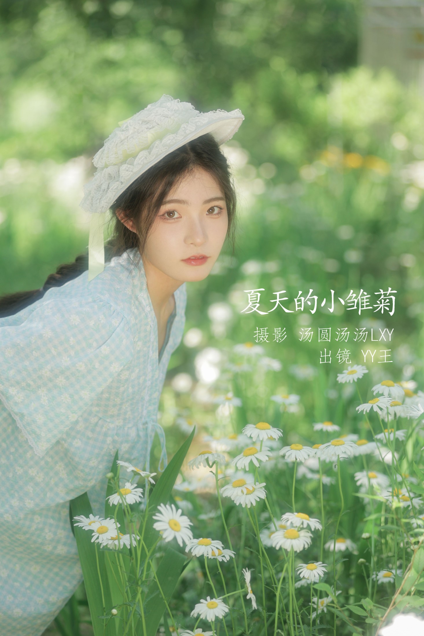 夏天的小雏菊