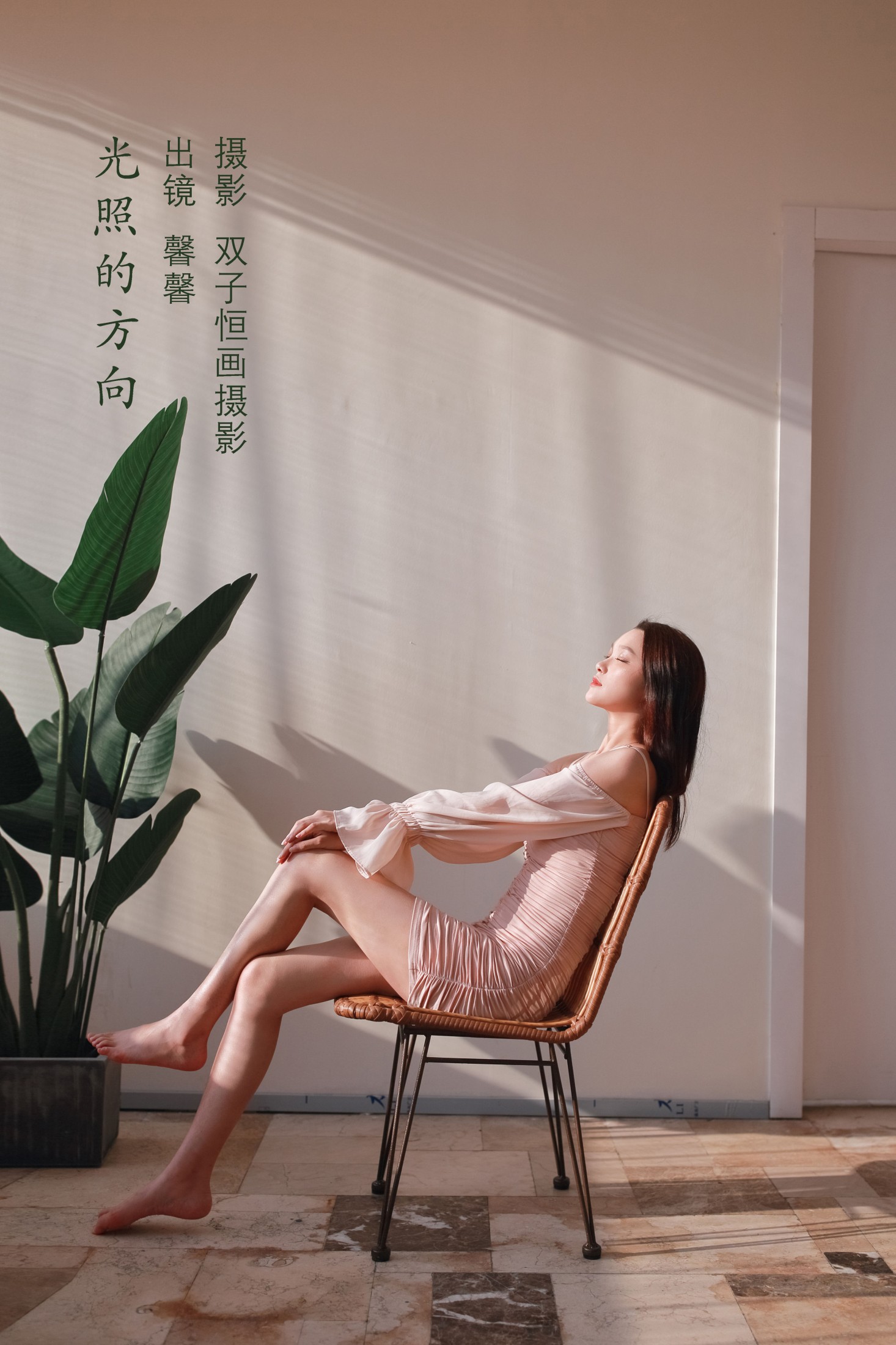 光照的方向