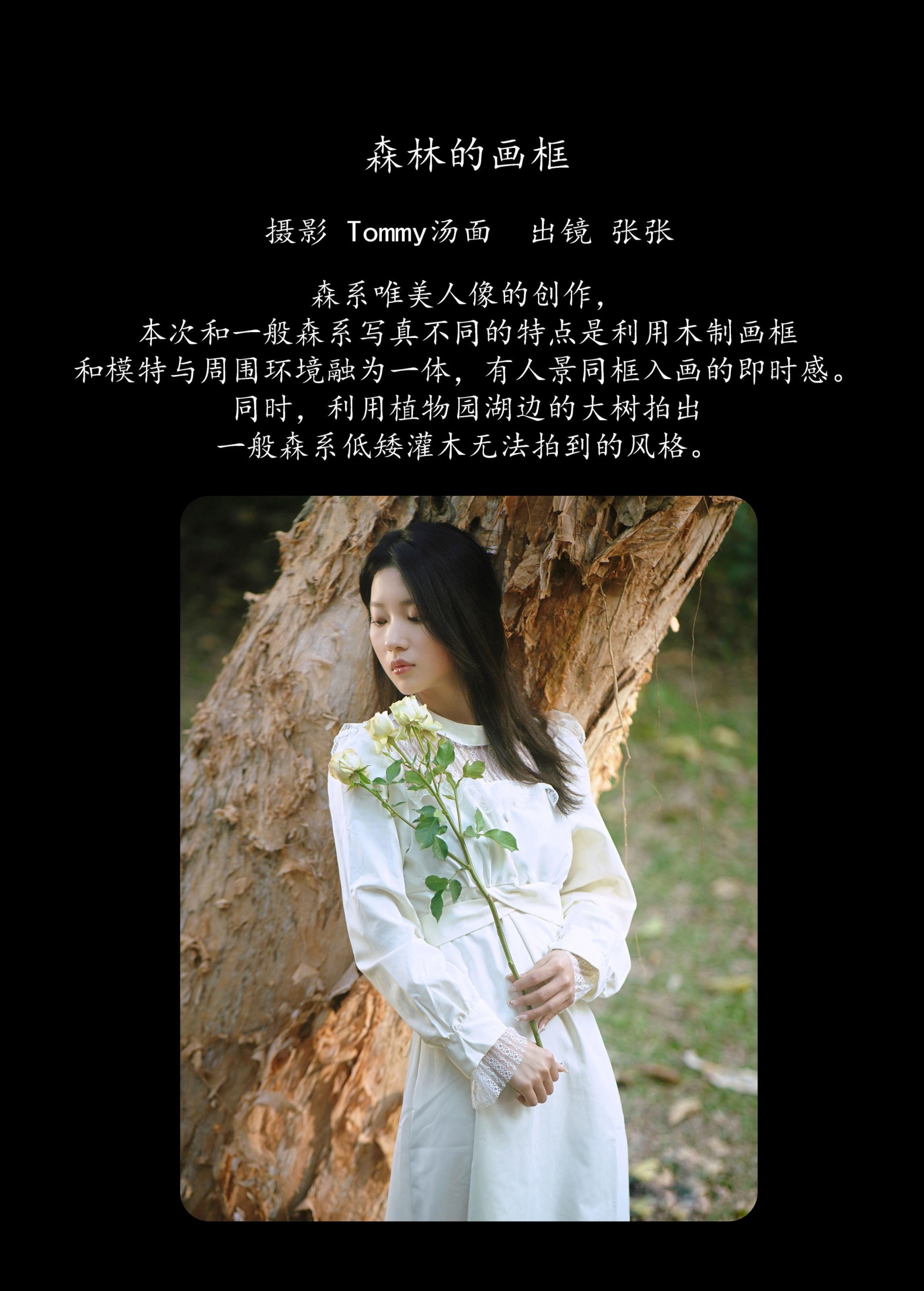 张张 – 《森林的画框》[29P]