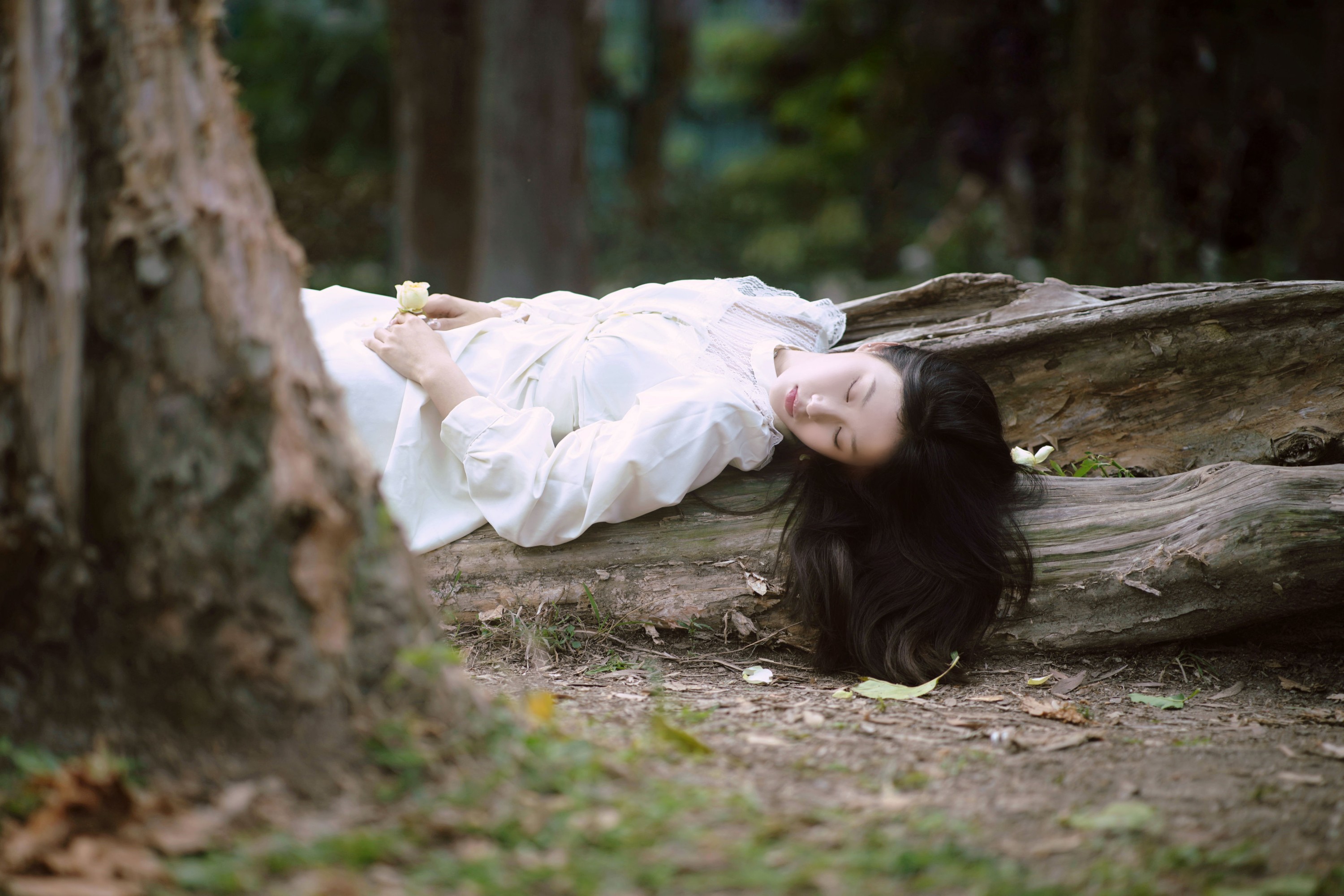 张张 – 《森林的画框》[29P]