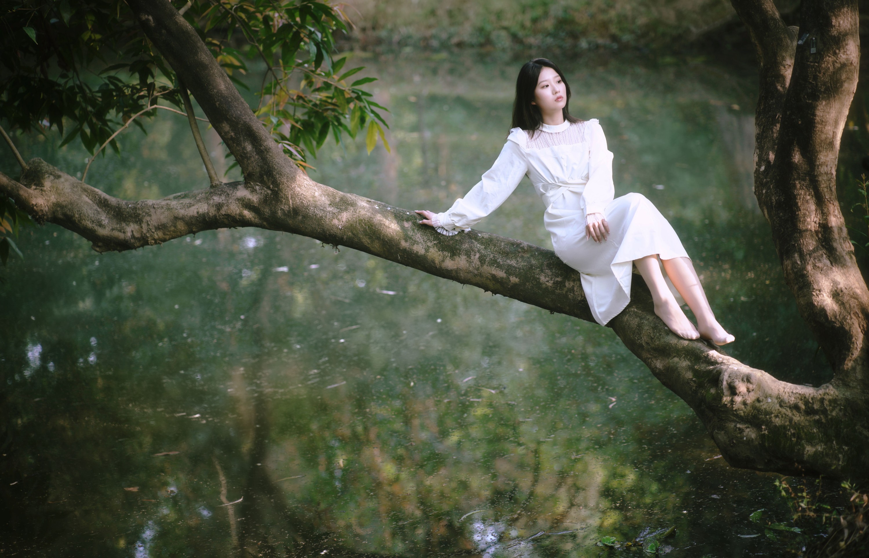 张张 – 《森林的画框》[29P]