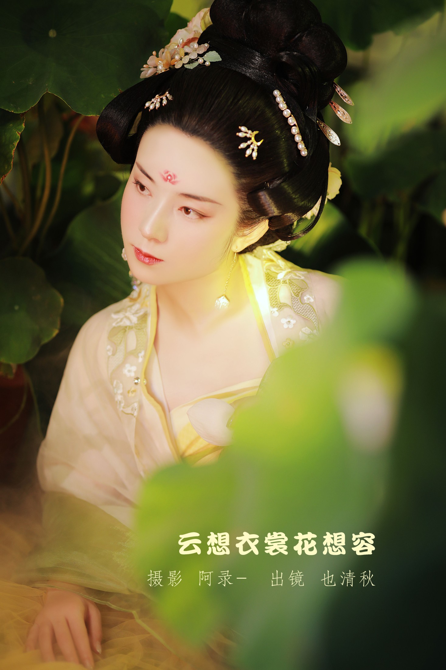 云想衣裳花想容