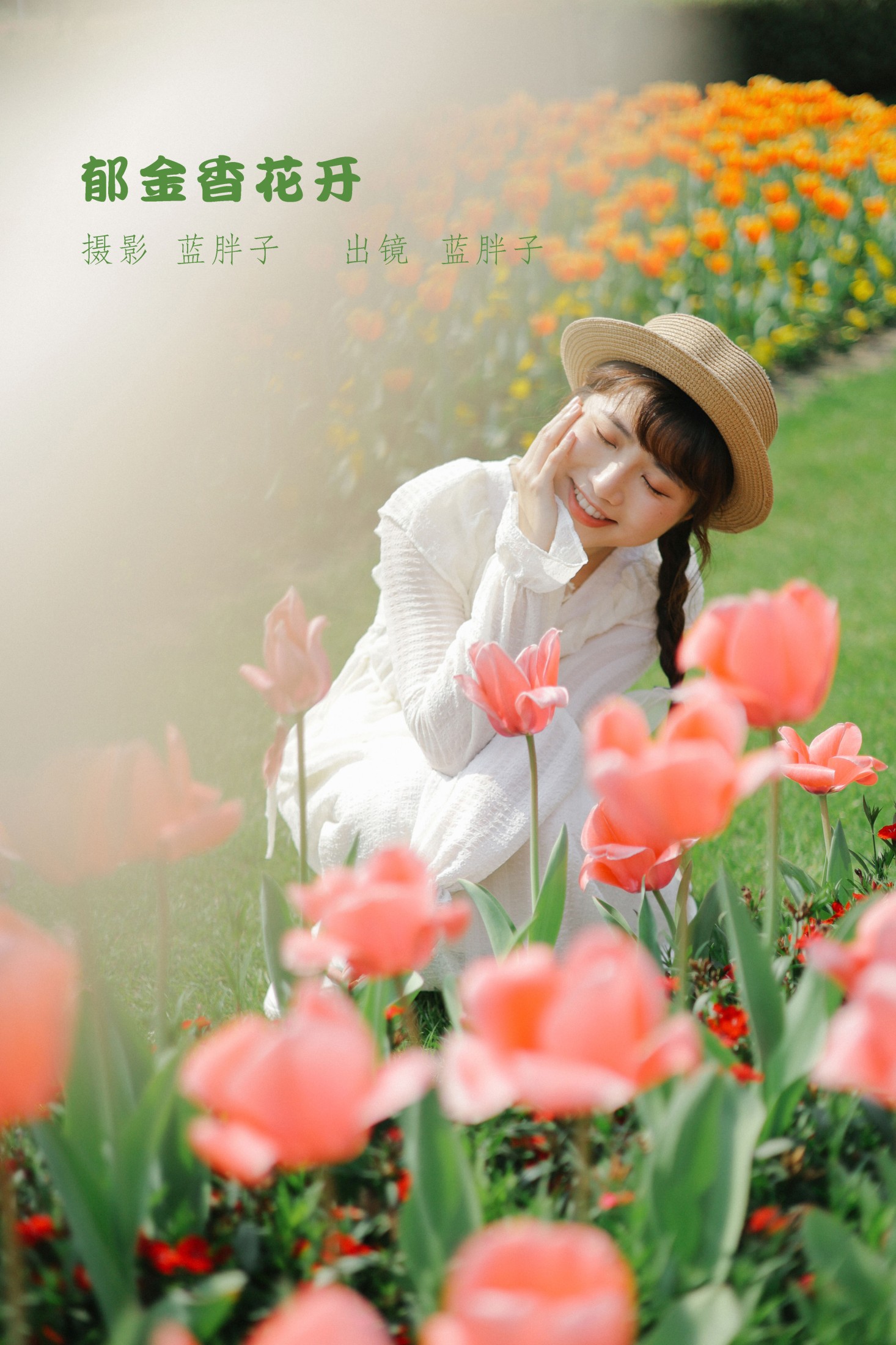 郁金香花开