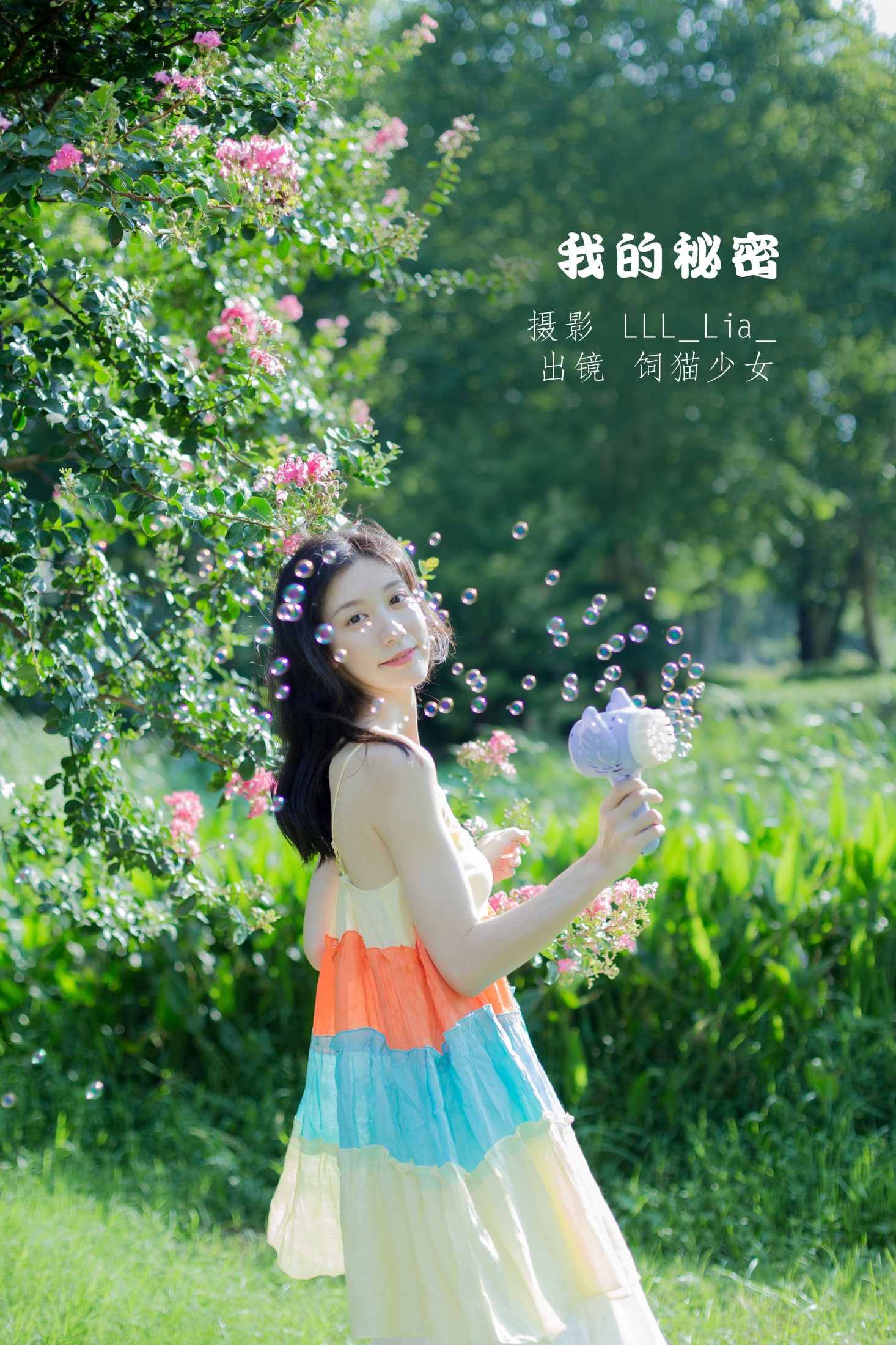 我的秘密