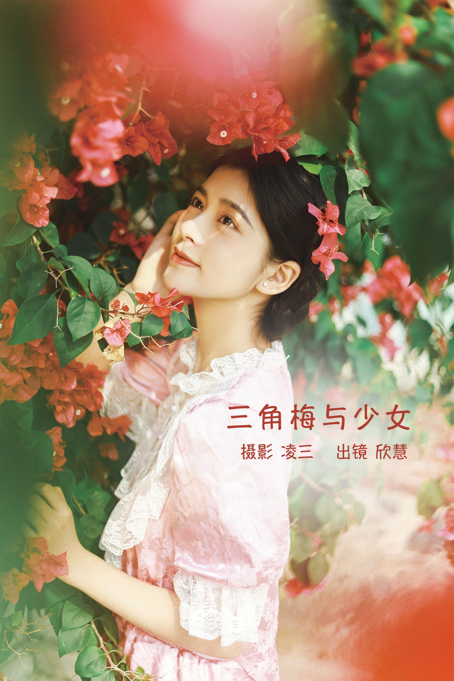 三角梅与少女
