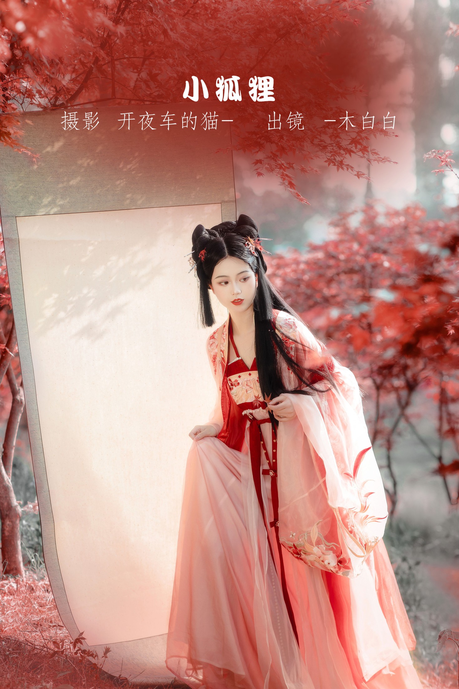 小狐狸