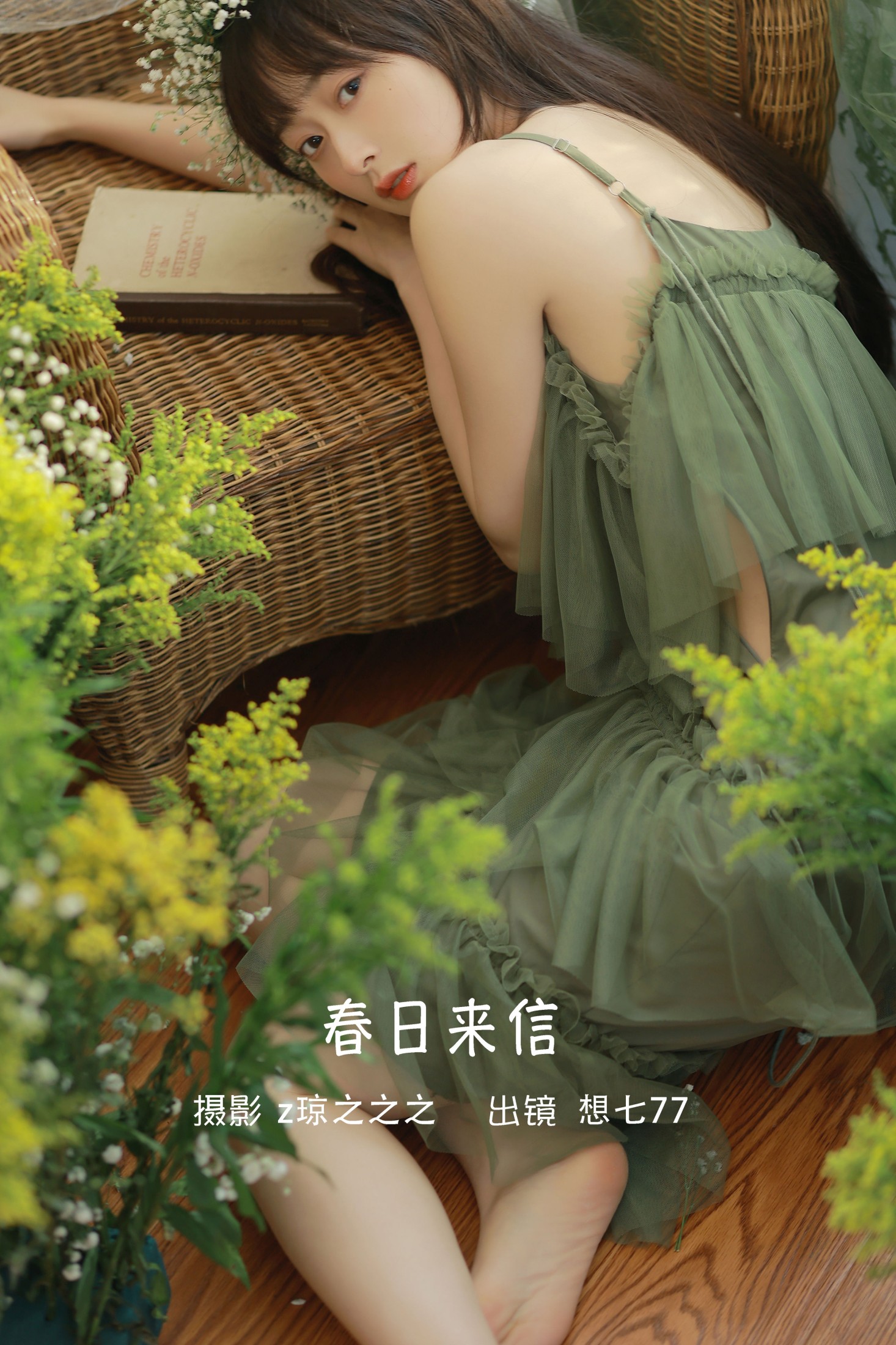 春日来信