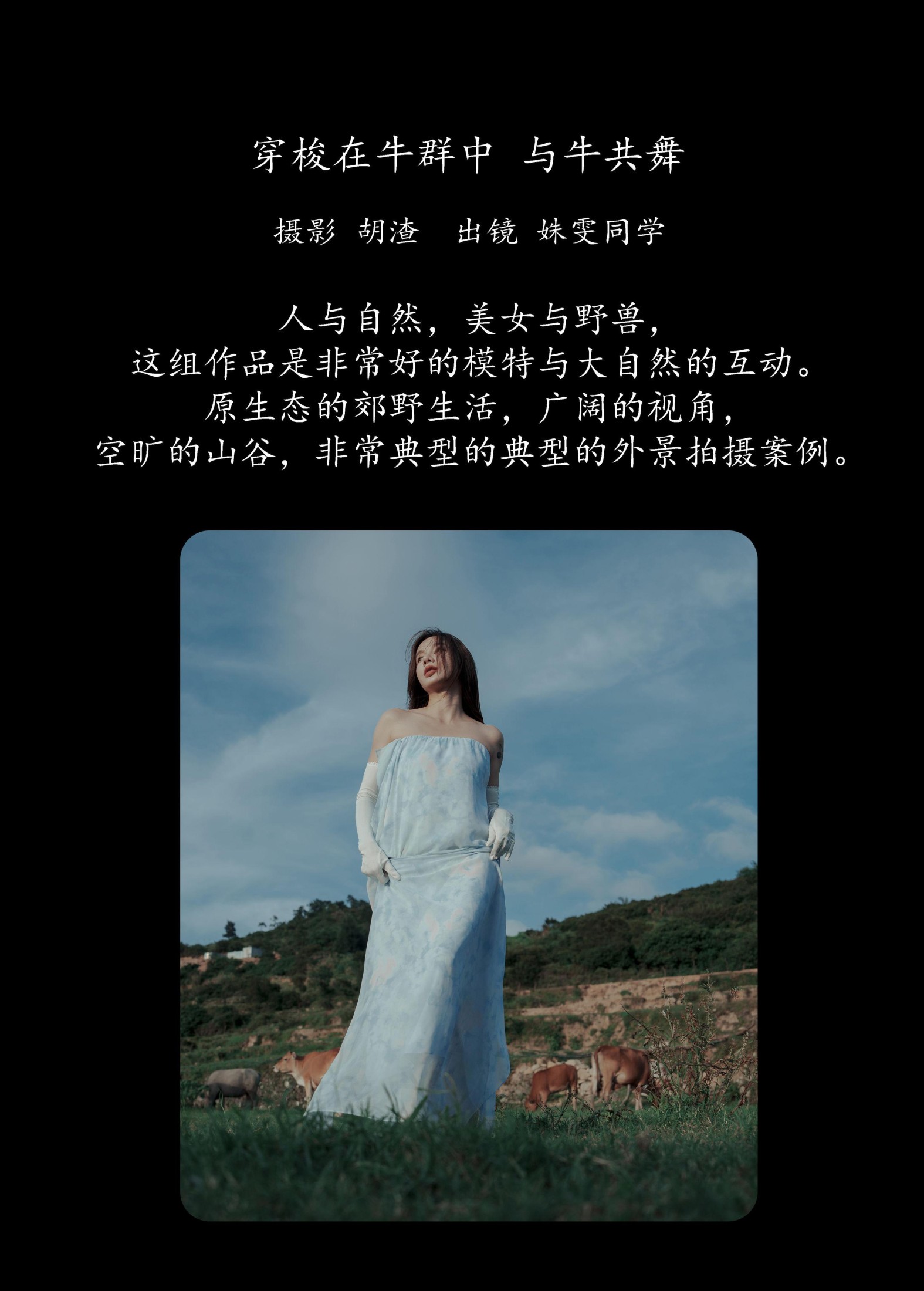 姝雯同学 – 《穿梭在牛群中，与牛共舞》[43P]