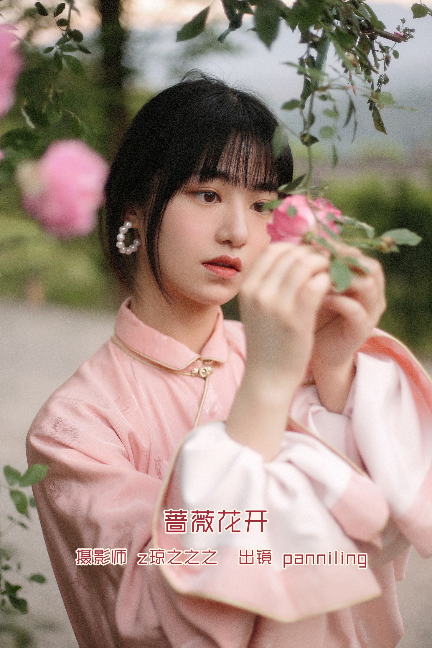 蔷薇花开