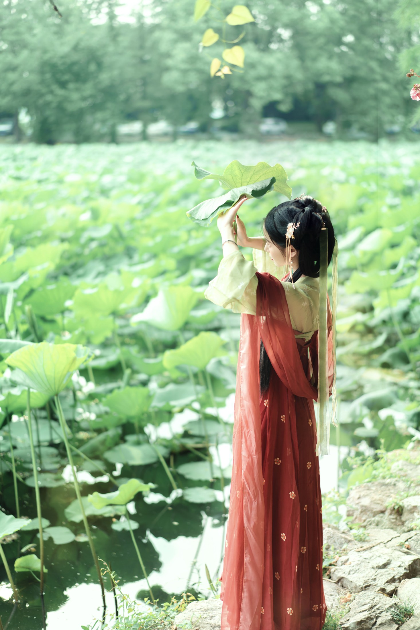 仓央是大魔王 – 《夏荷》[21P]