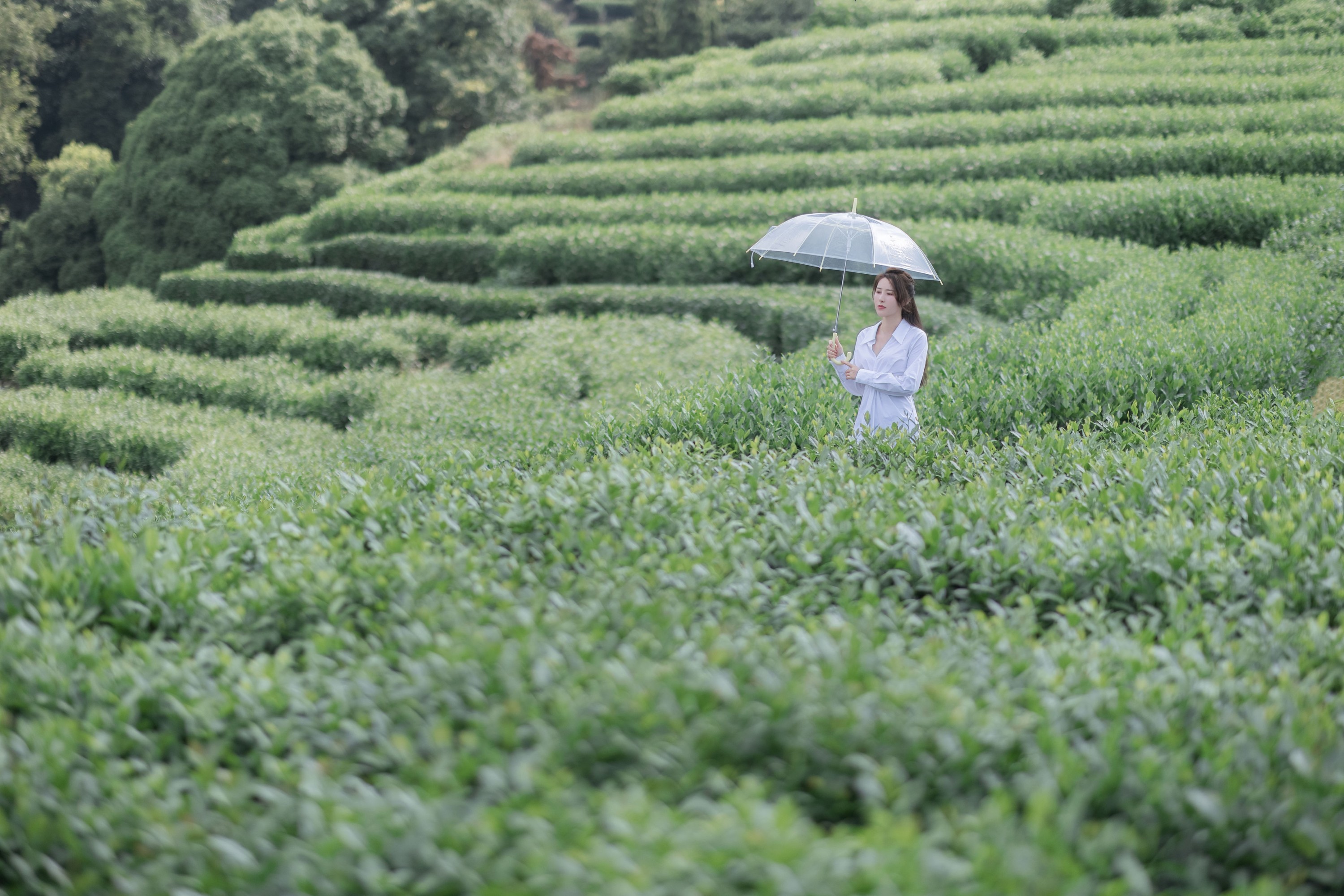 小美 – 《茶岚》[32P]