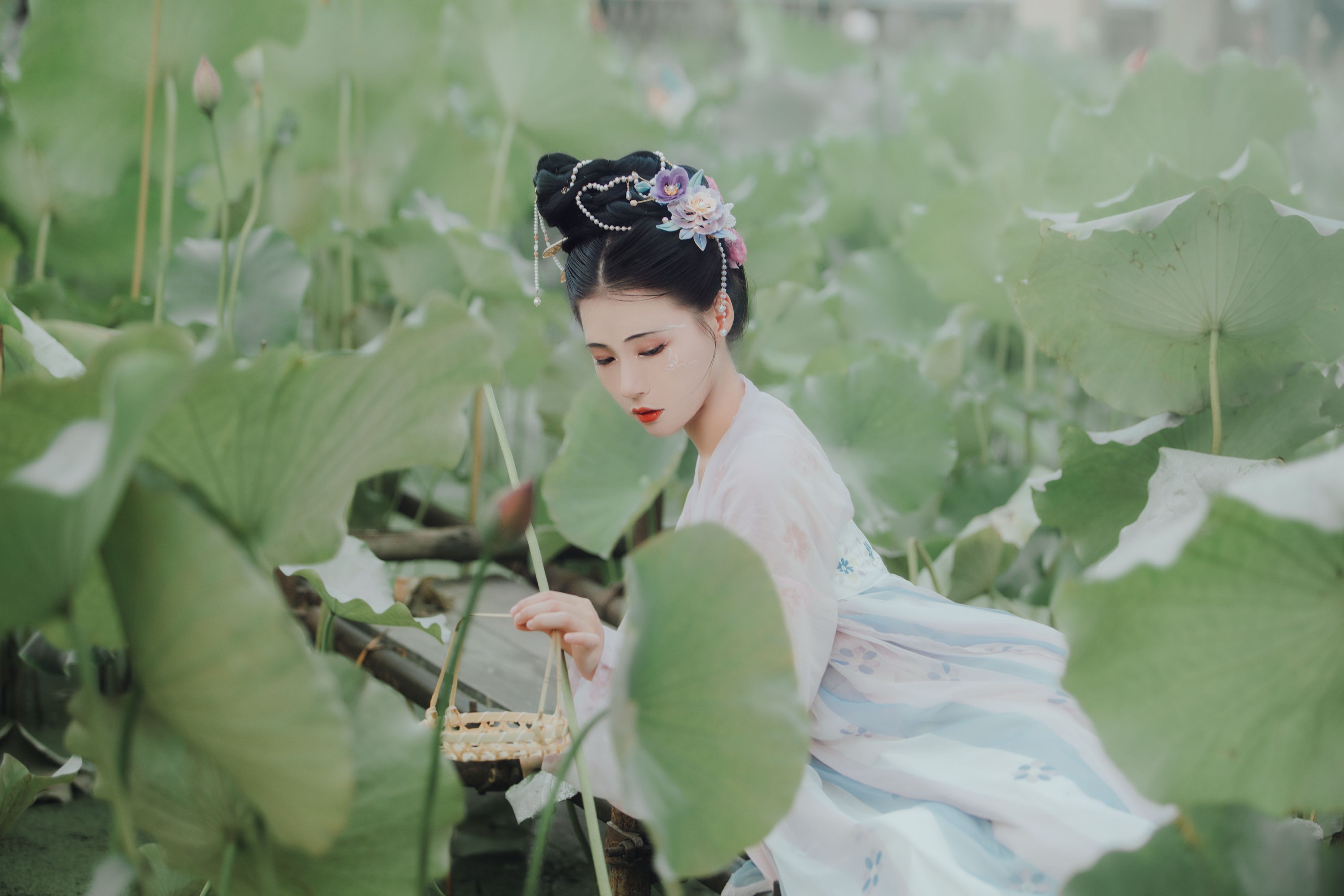 双翮 – 《如梦令》[22P]
