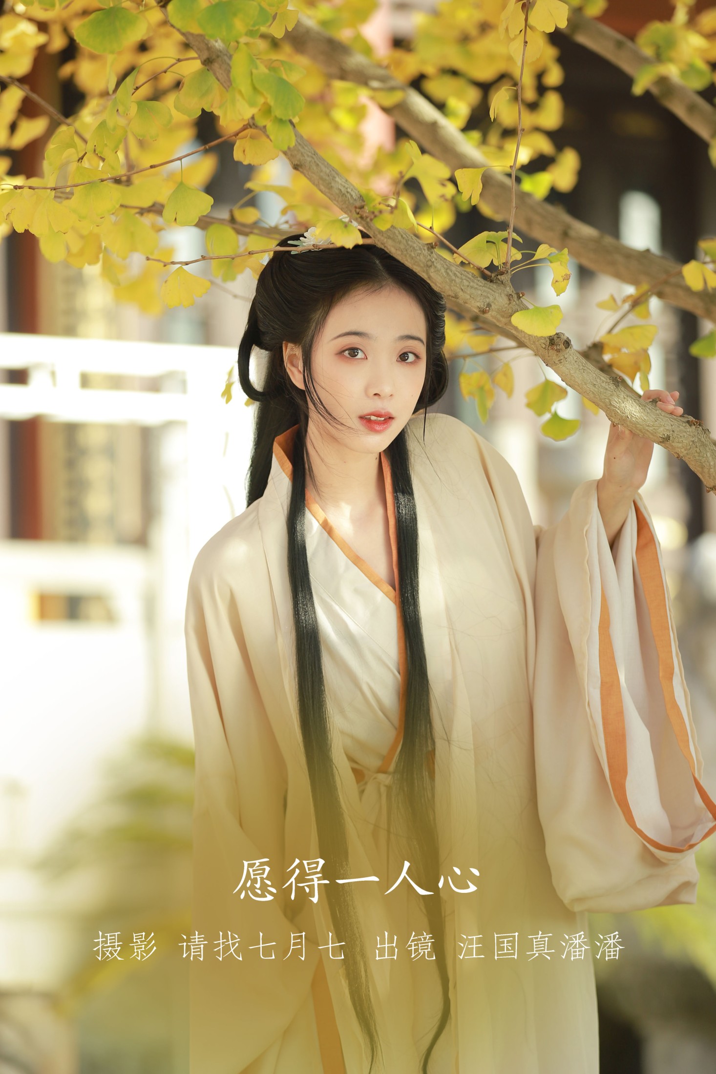 愿得一人心