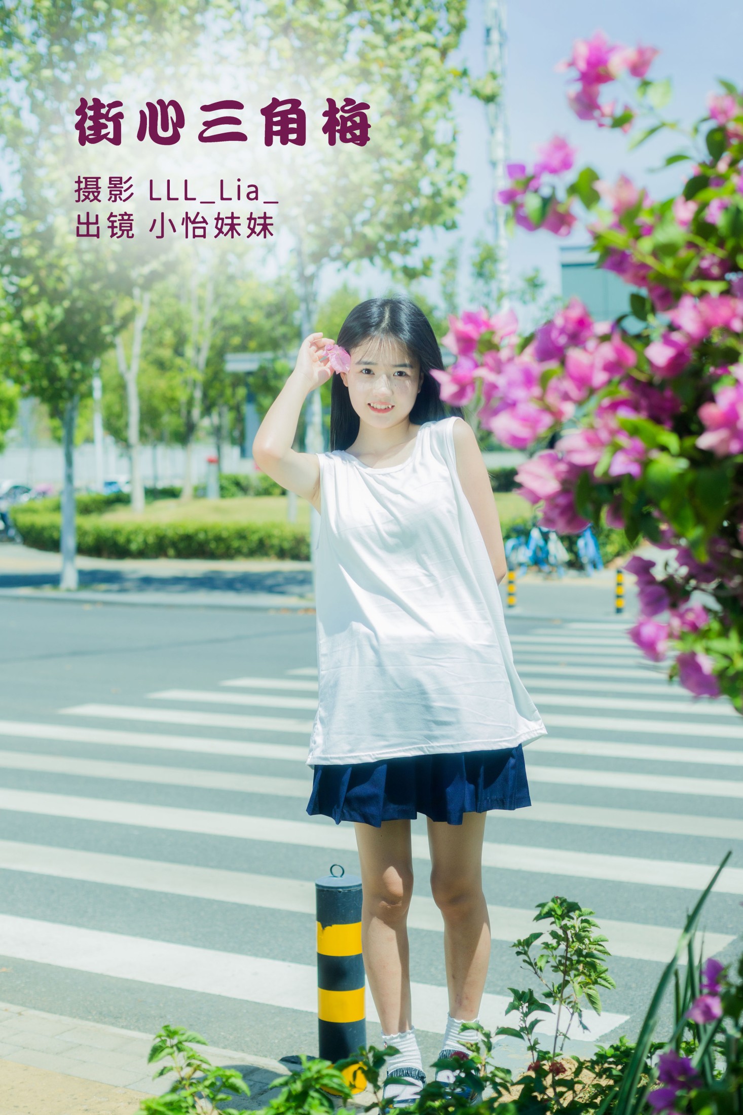 街心三角梅