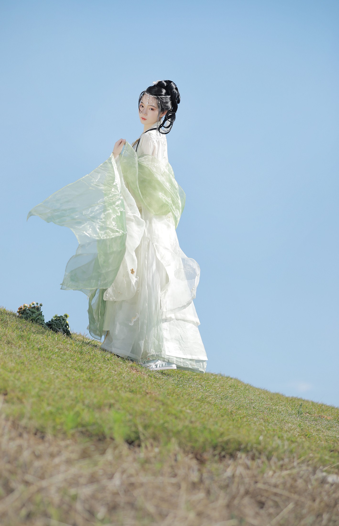落花人独立 – 《夏日长》[36P]