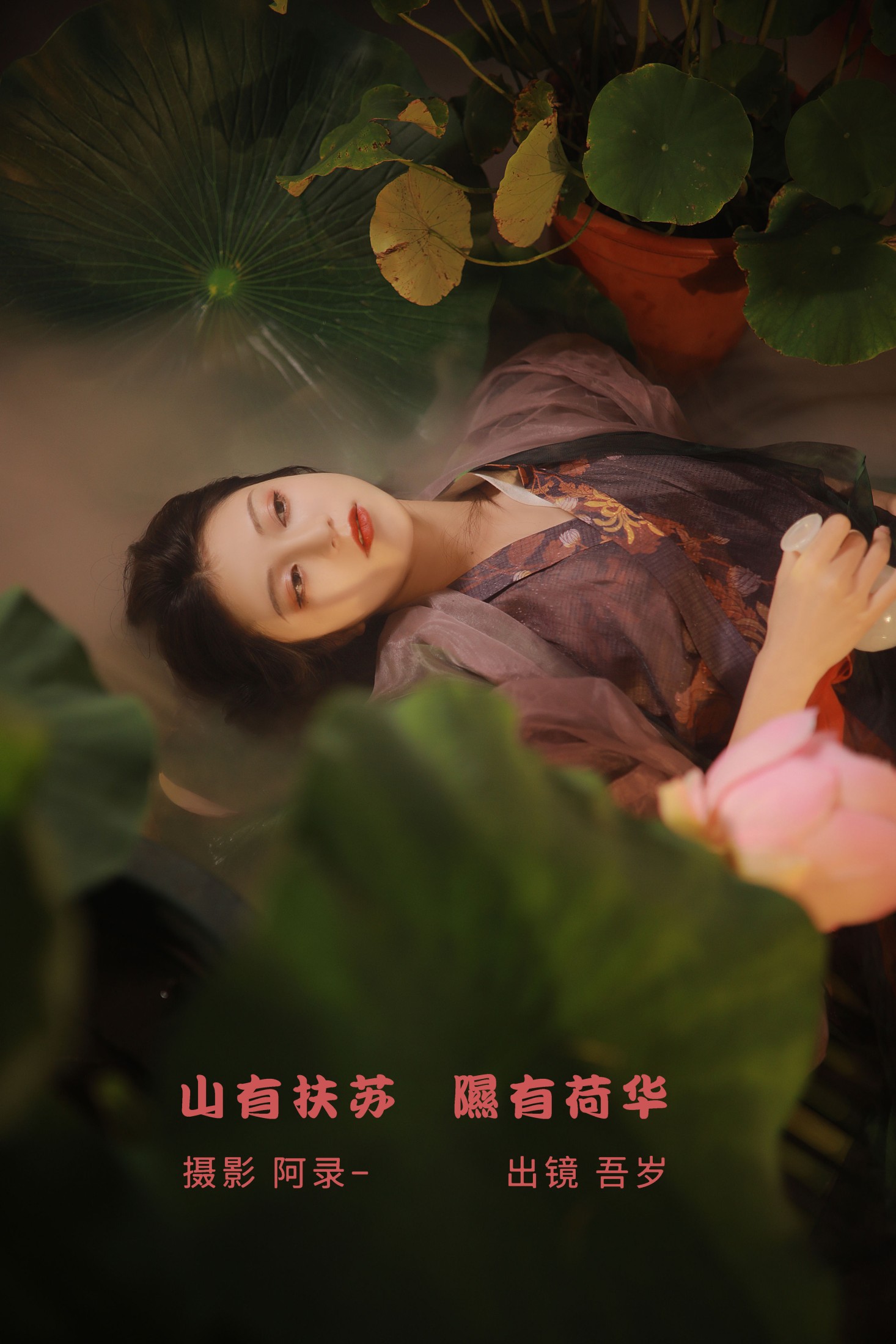 山有扶苏,隰有荷华