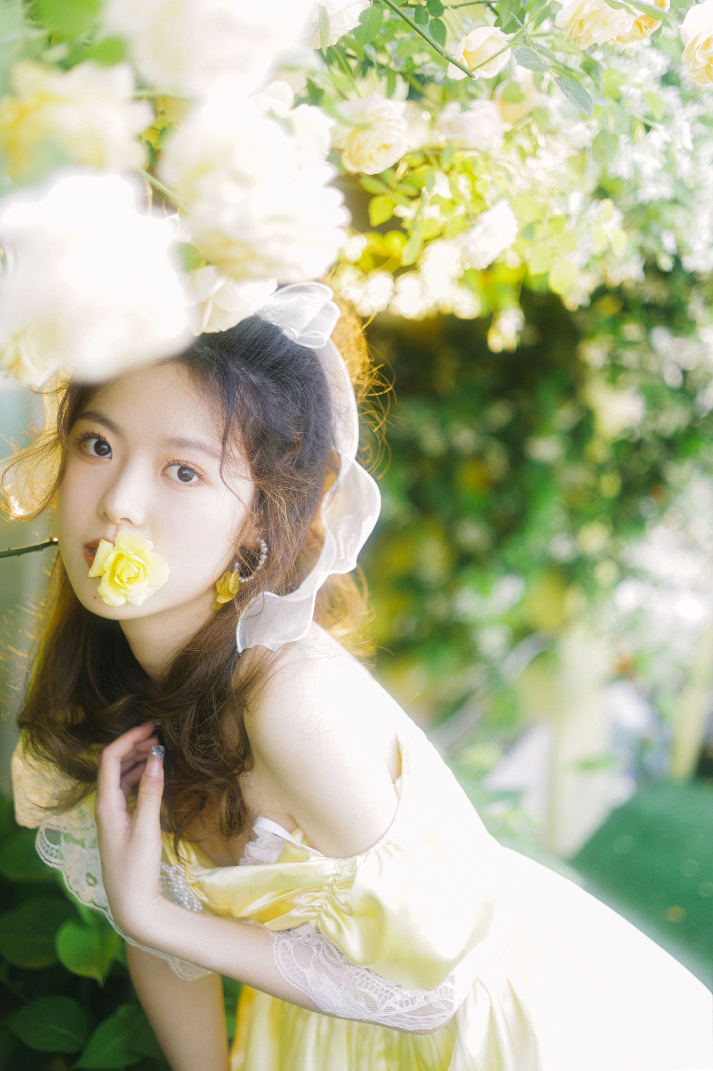 盈盈 – 《花恋语》[29P]