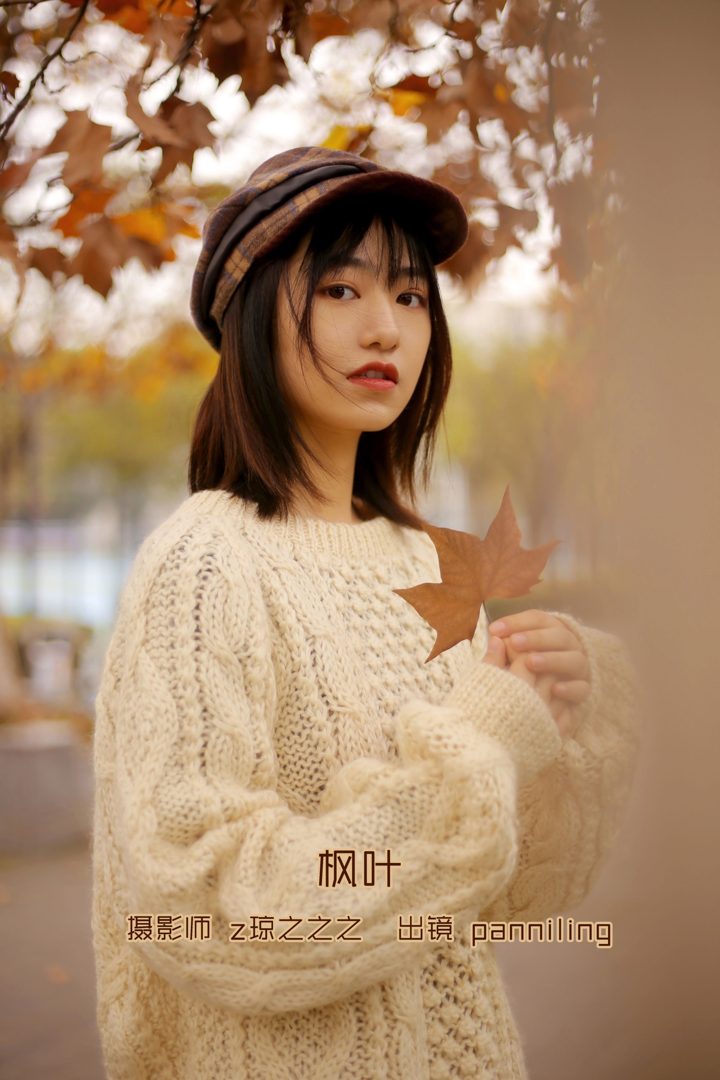 枫叶