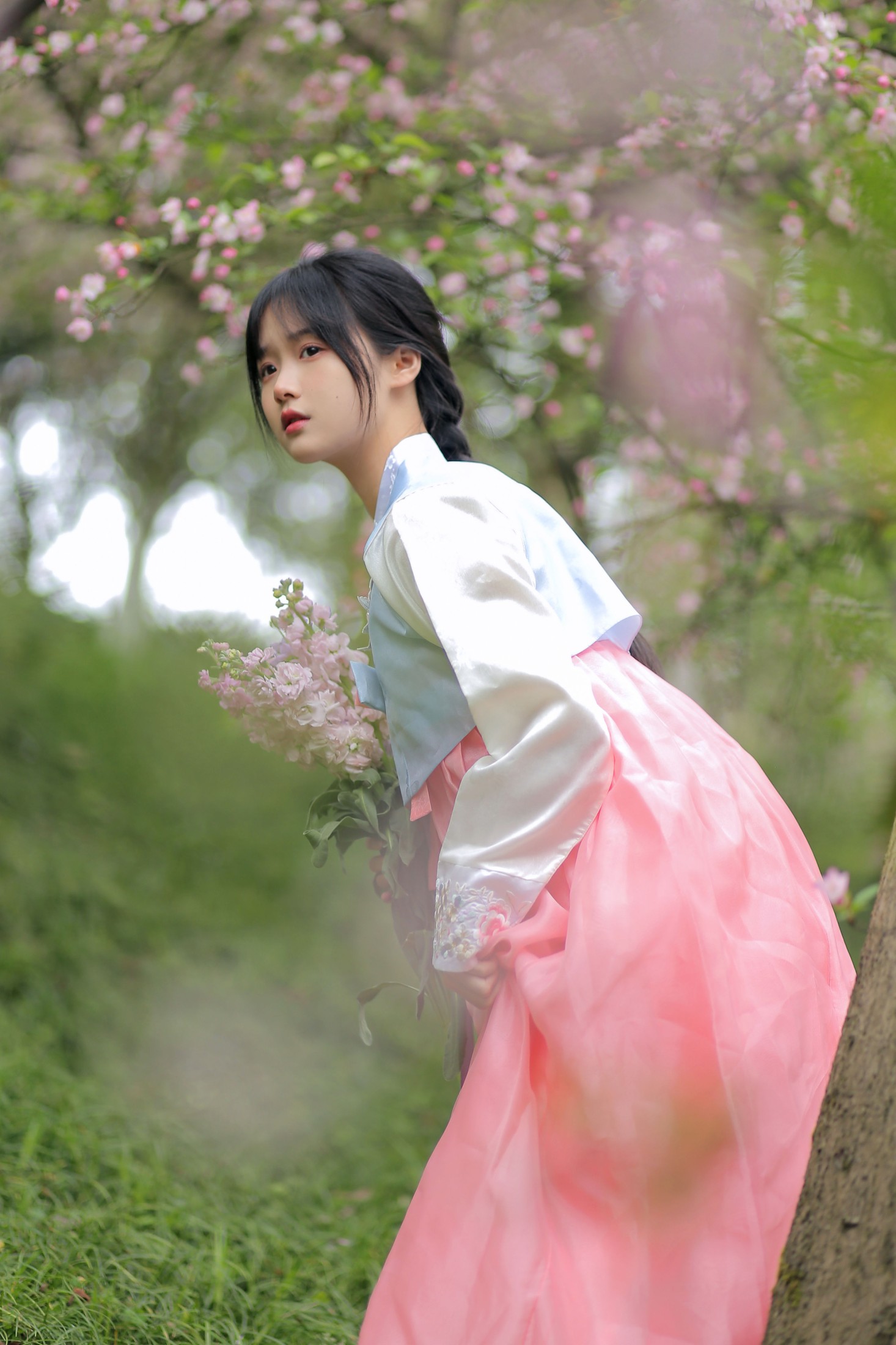 至春禾 – 《春日海棠》[34P]
