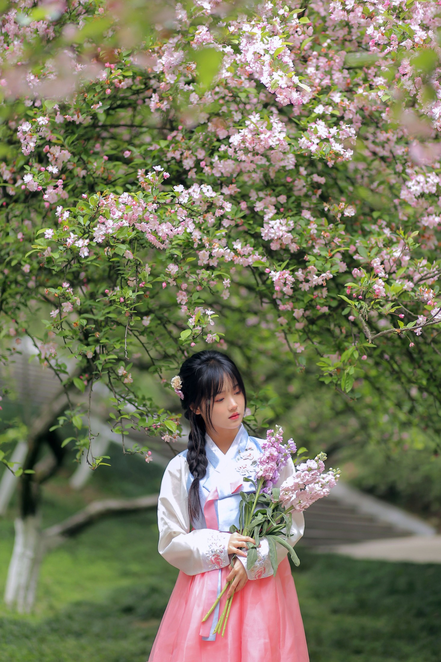 至春禾 – 《春日海棠》[34P]