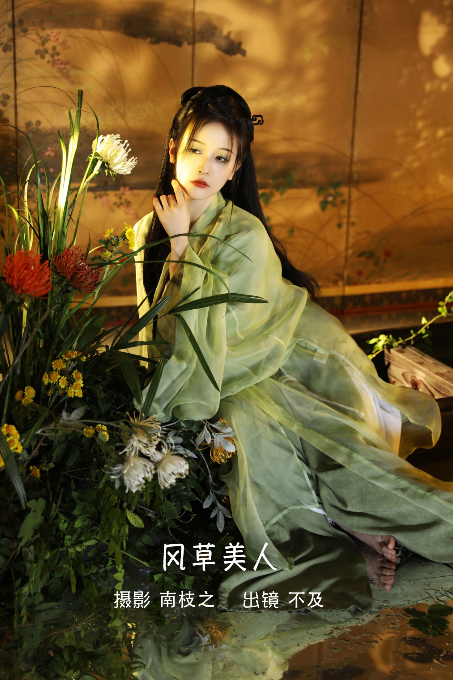 风草美人
