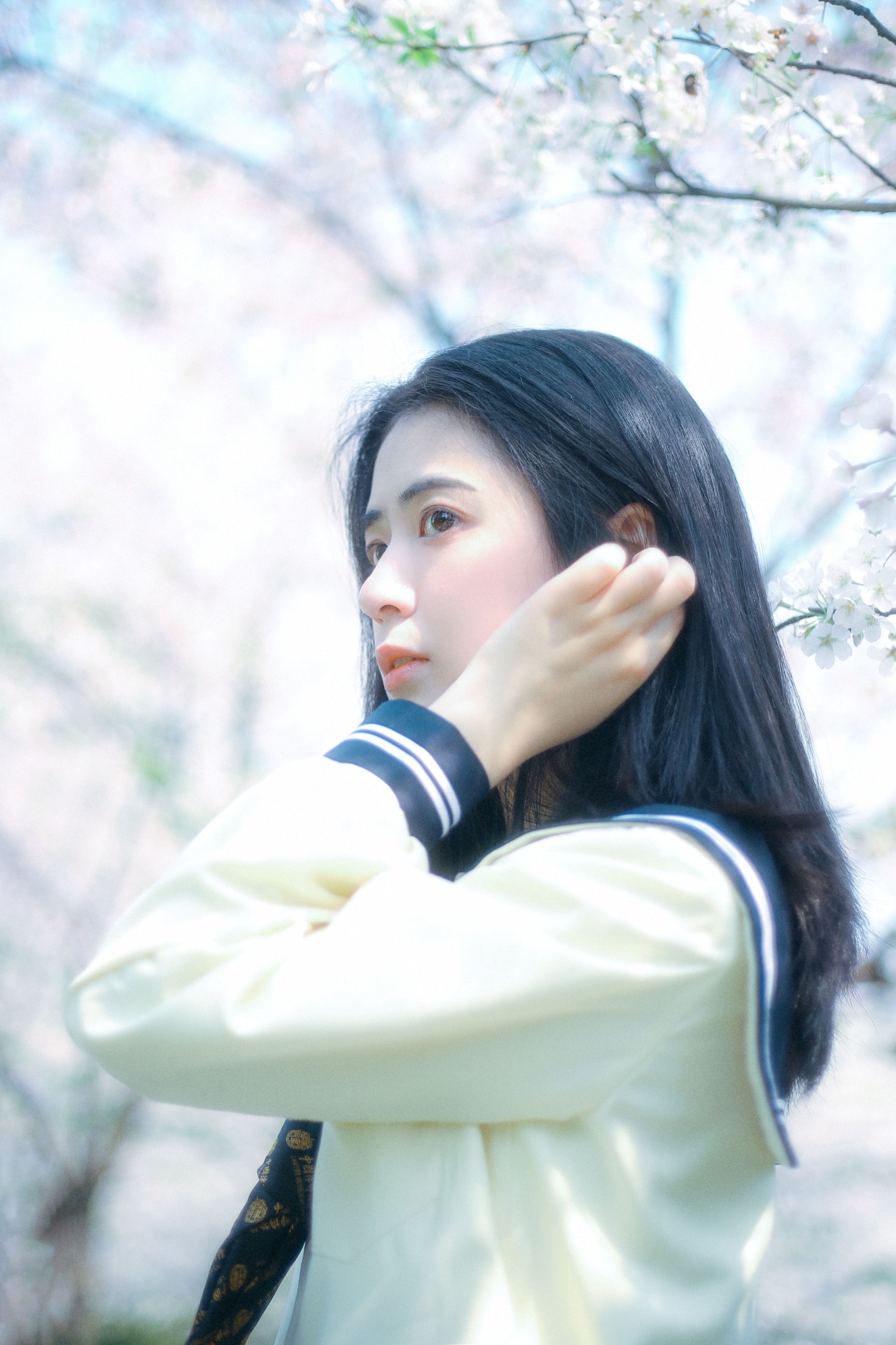 瞳人儿 – 《春日早樱》[22P]