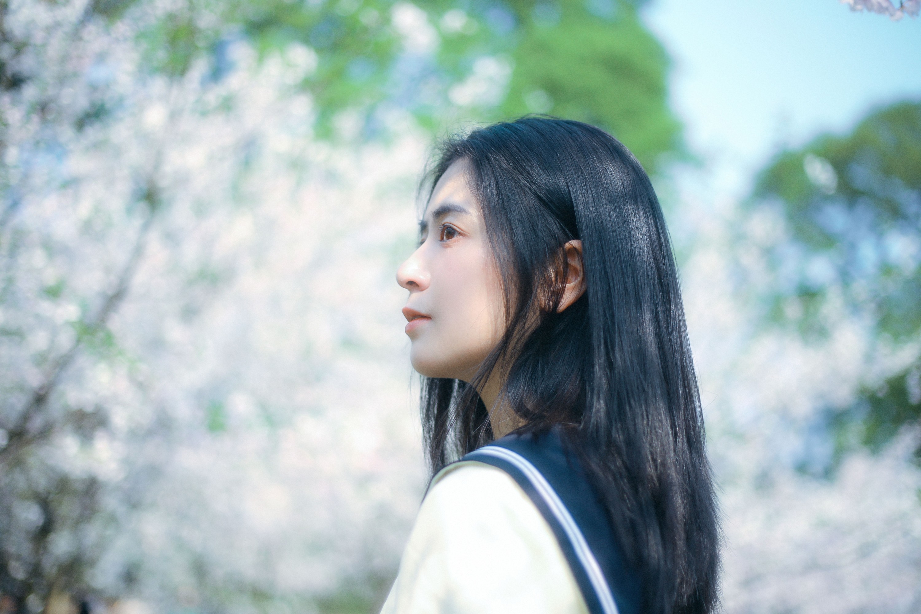 瞳人儿 – 《春日早樱》[22P]