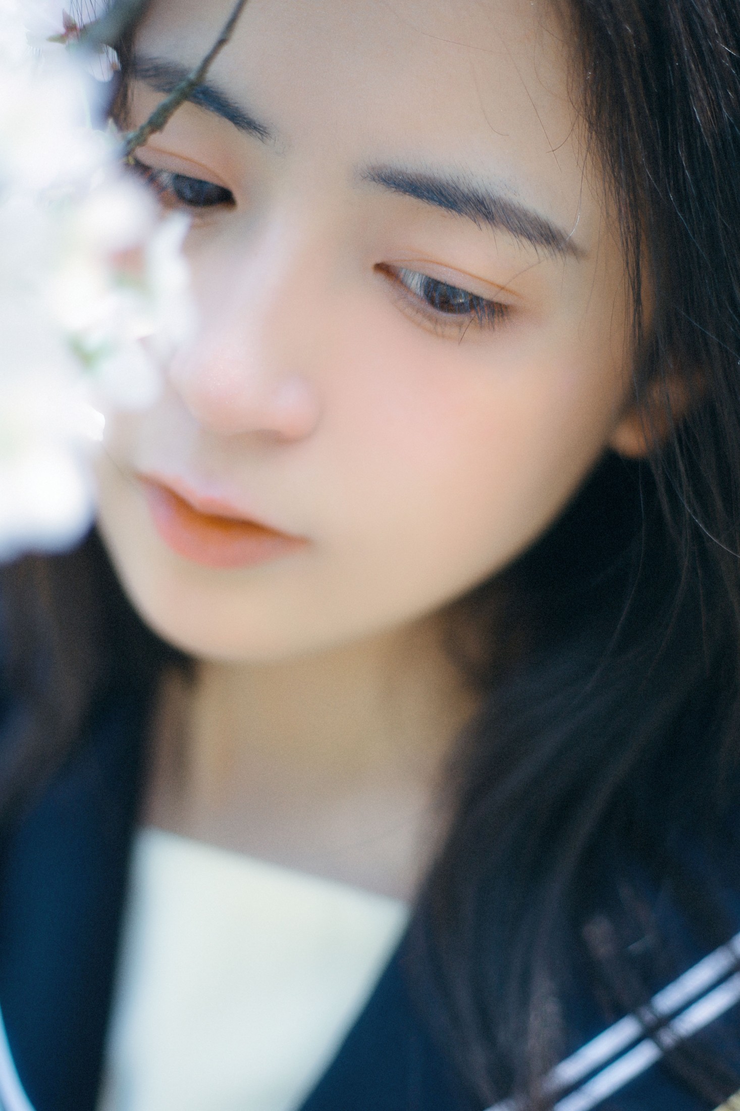 瞳人儿 – 《春日早樱》[22P]