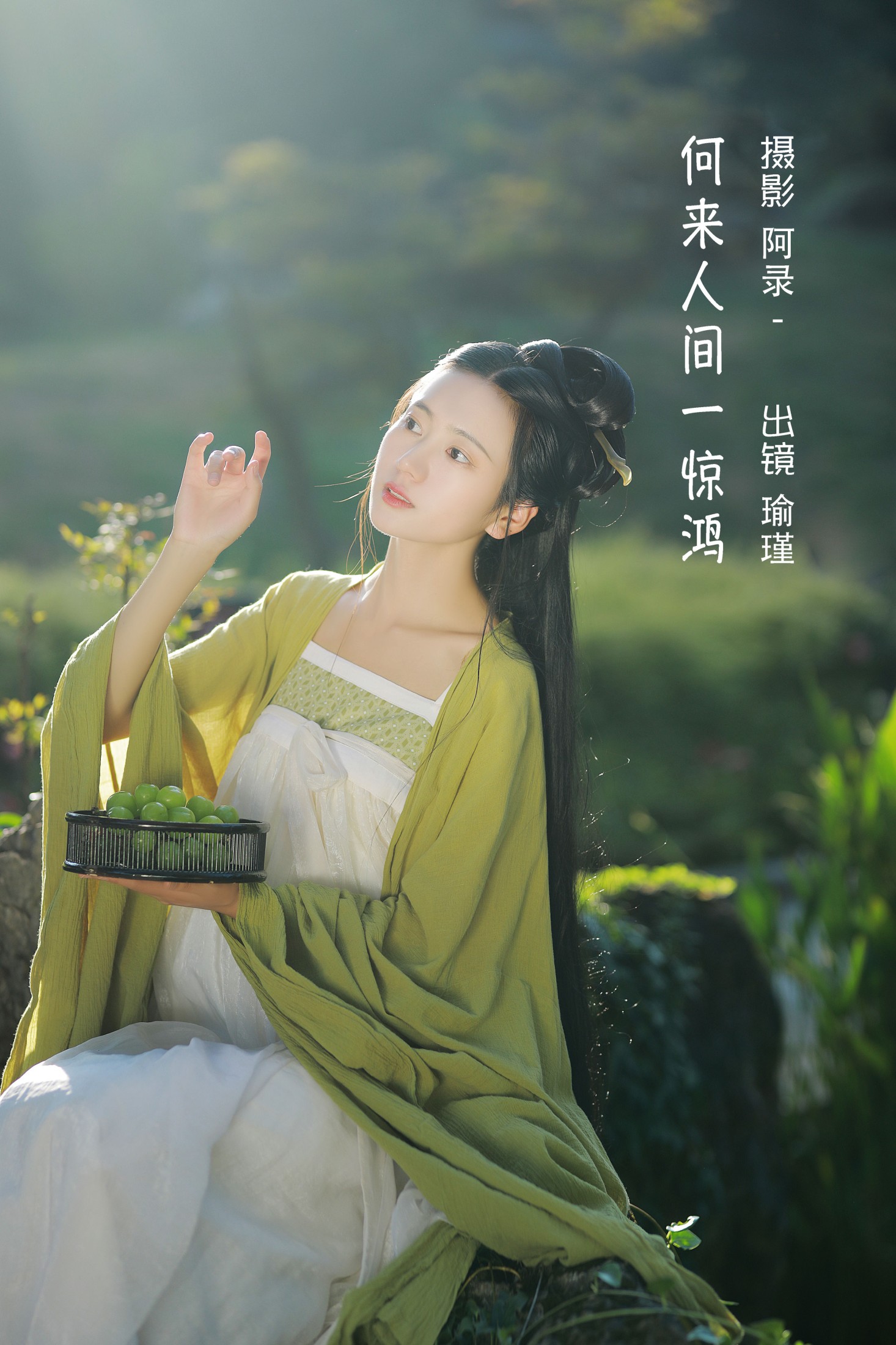 何来人间一惊鸿