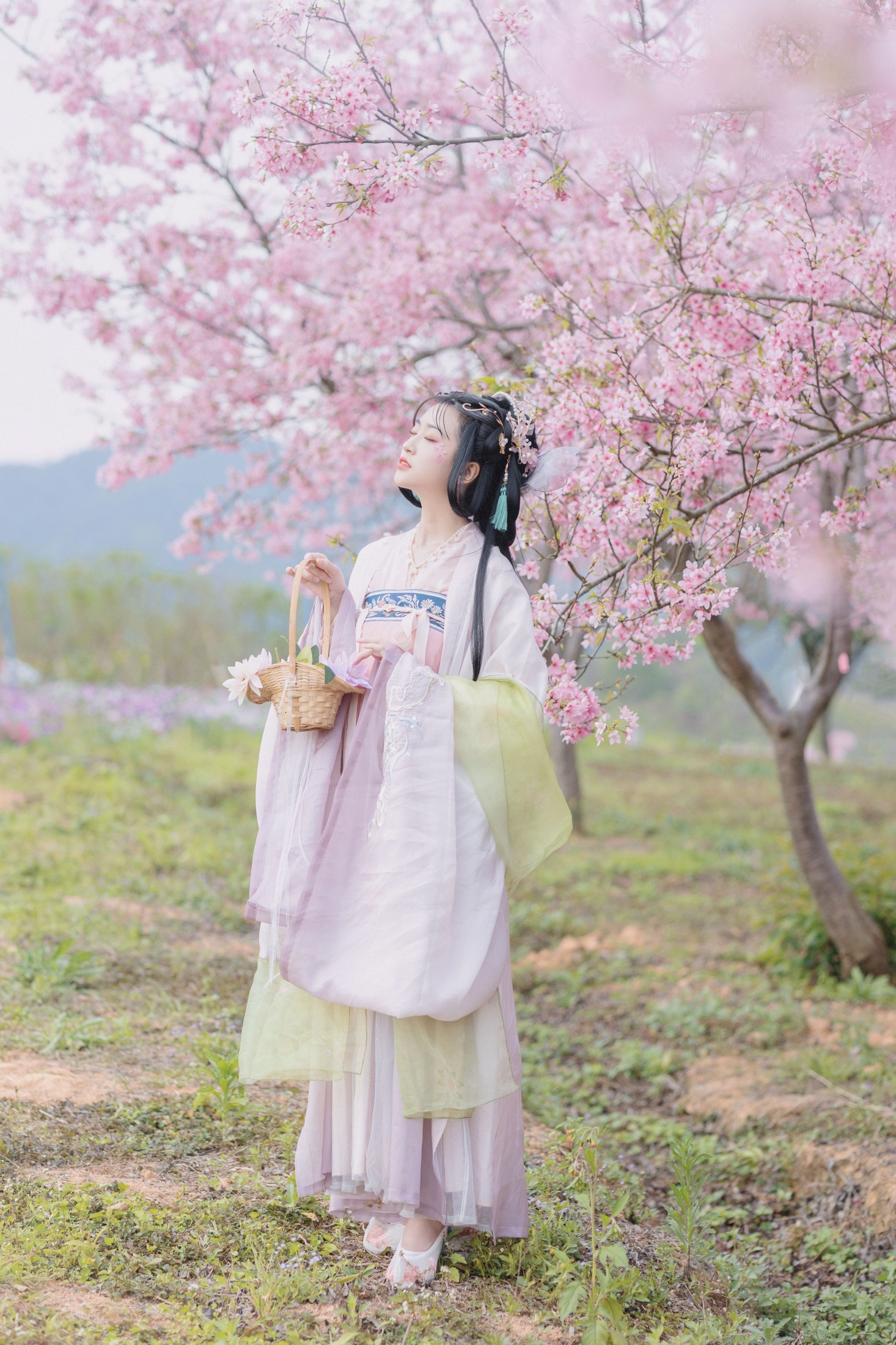 琼_娜 – 《樱》[47P]
