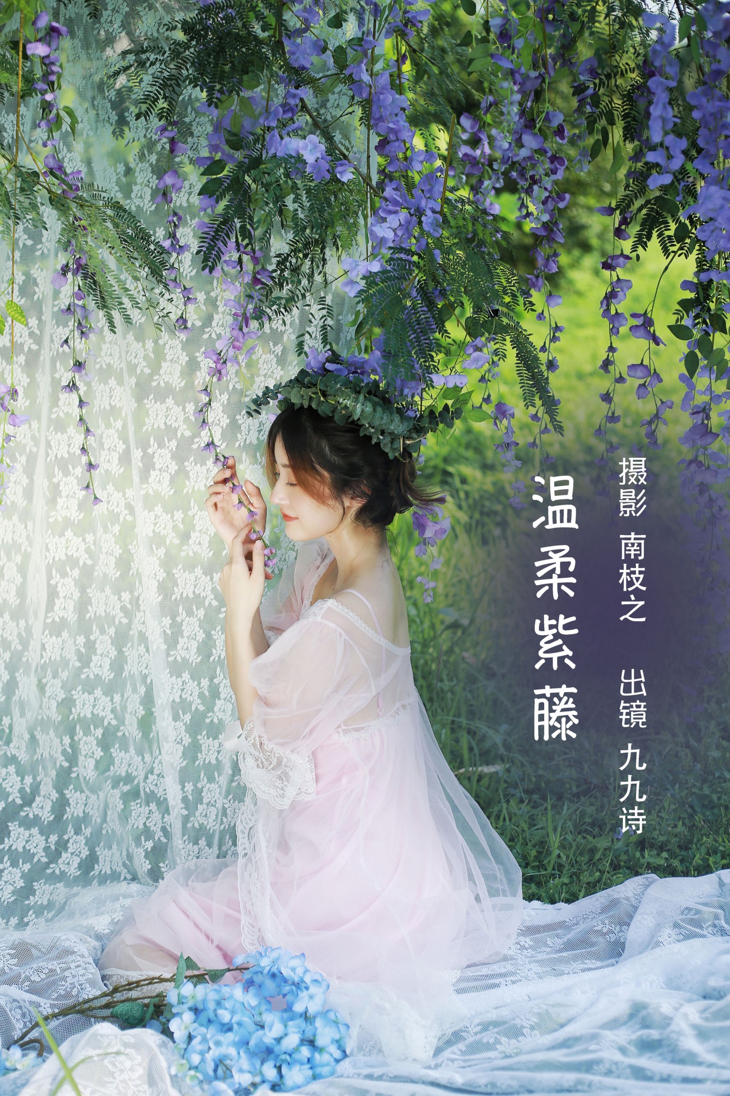 温柔紫藤
