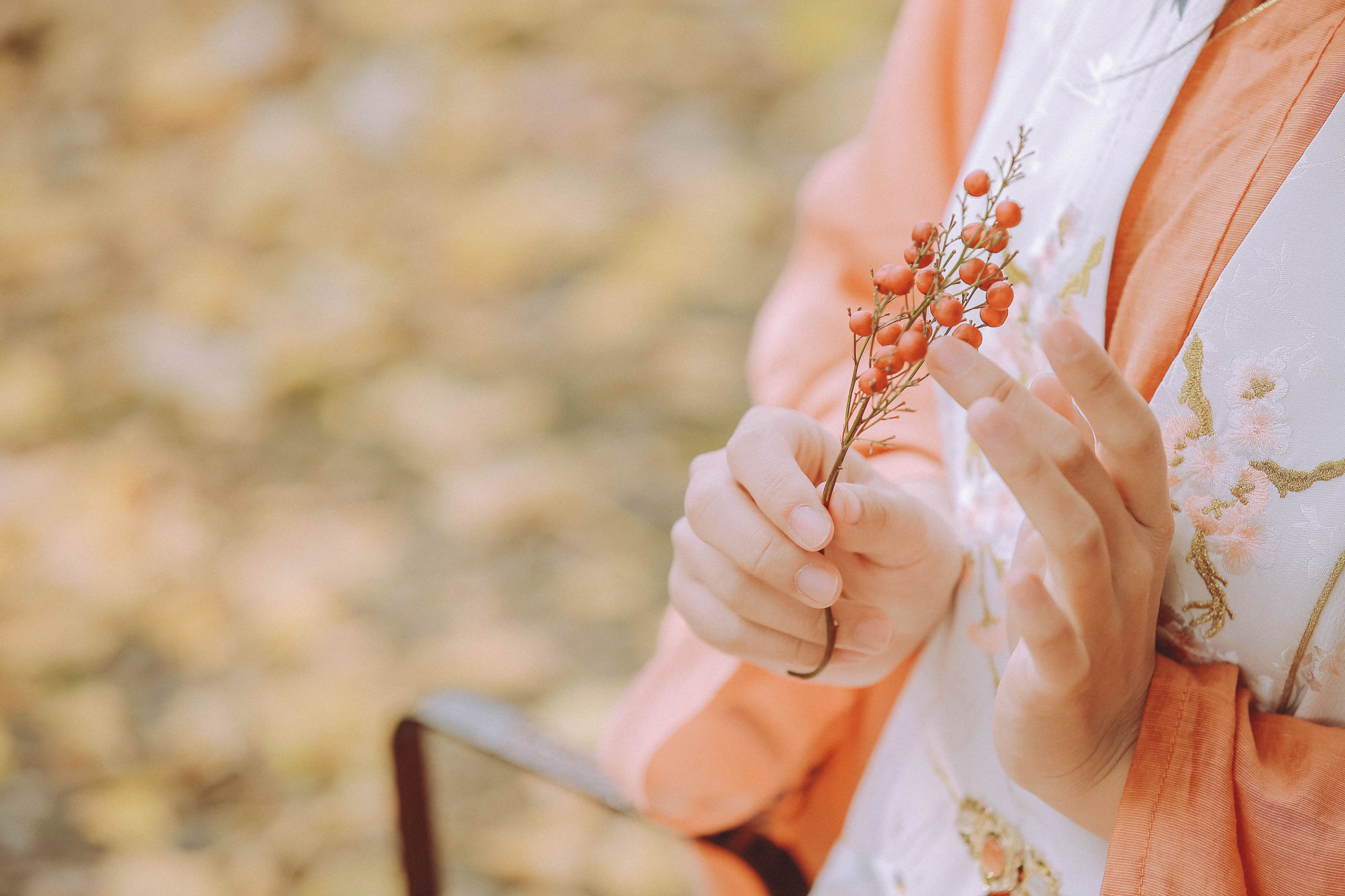 甲涟鱼鱼 – 《秋思》[22P]