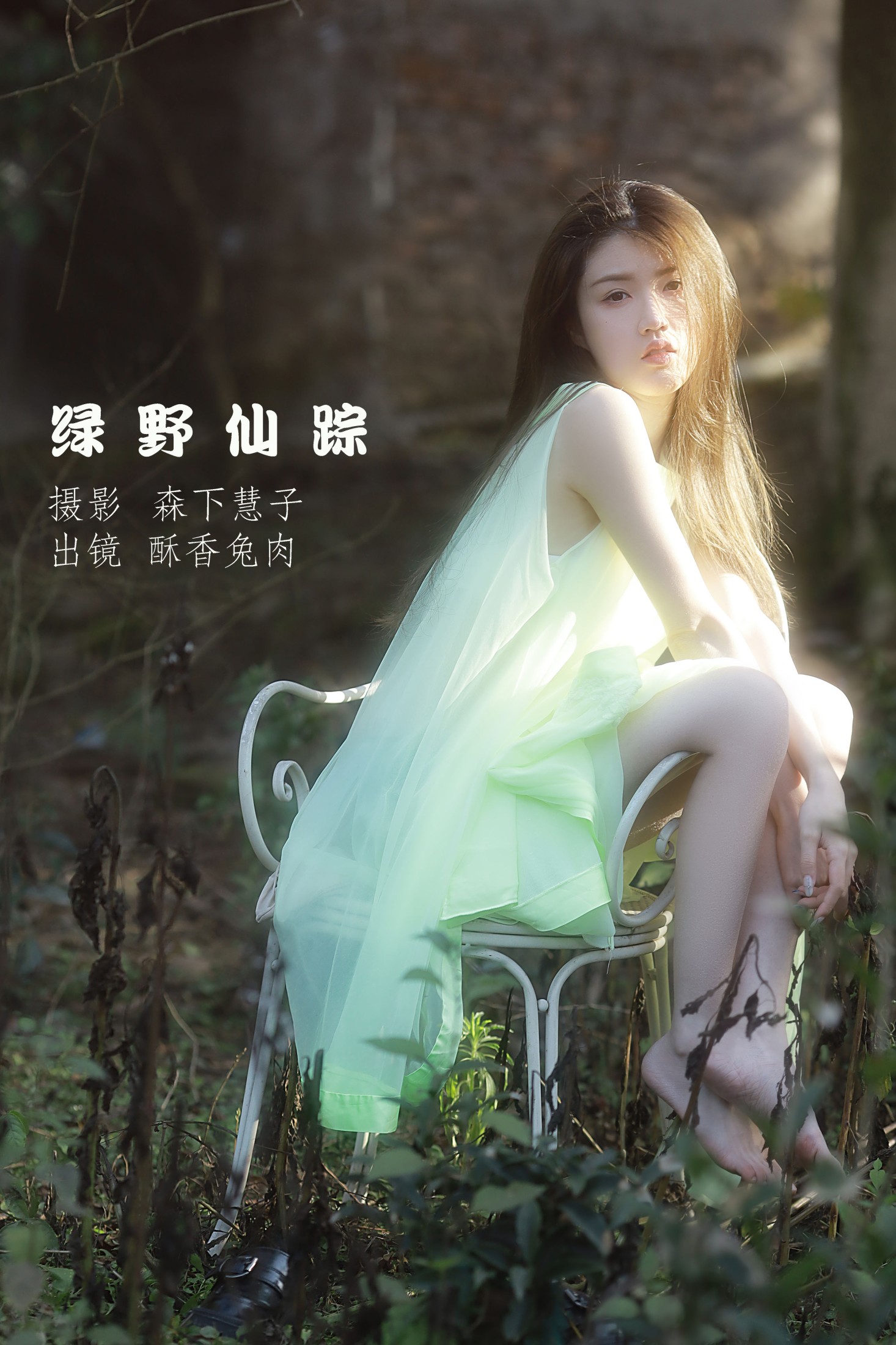 绿野仙踪