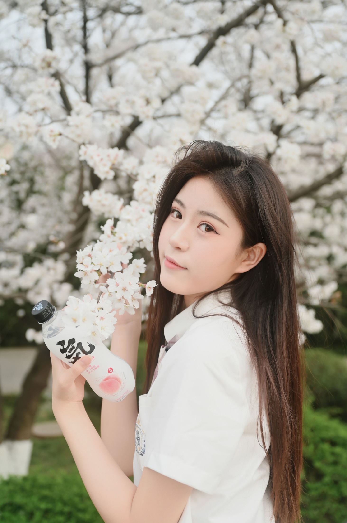 琪琪 – 《樱花色的天空下》[29P]