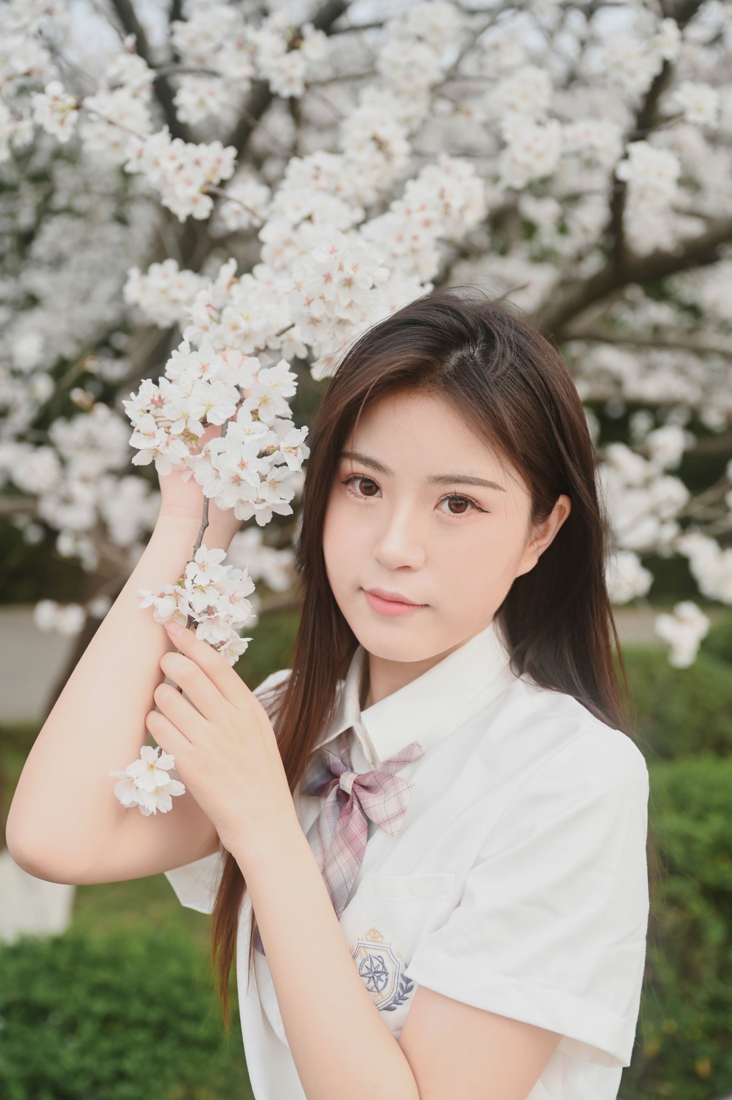 琪琪 – 《樱花色的天空下》[29P]