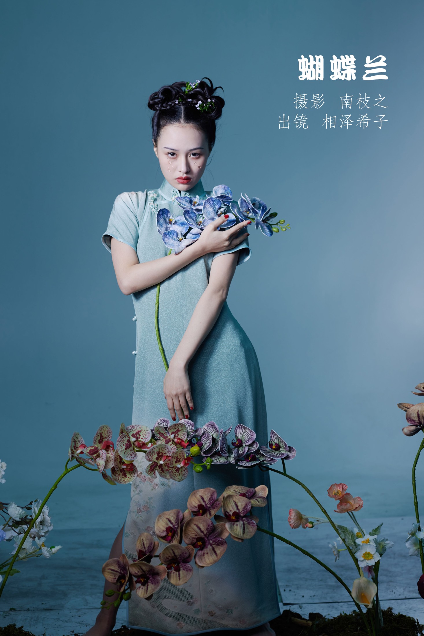 蝴蝶兰
