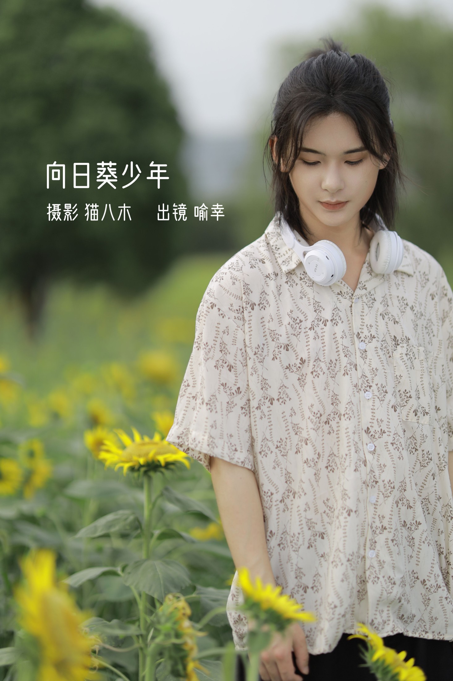 向日葵少年