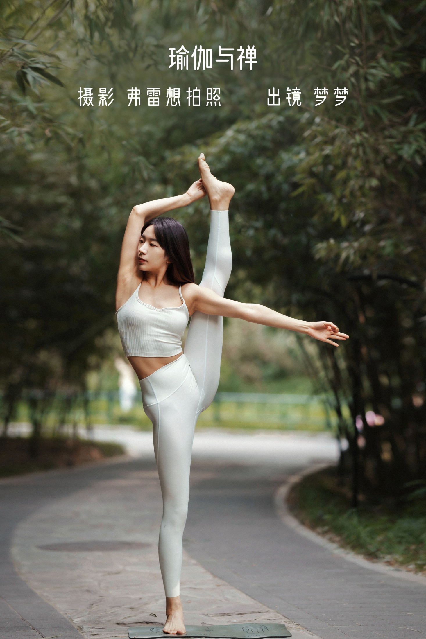 瑜伽与禅