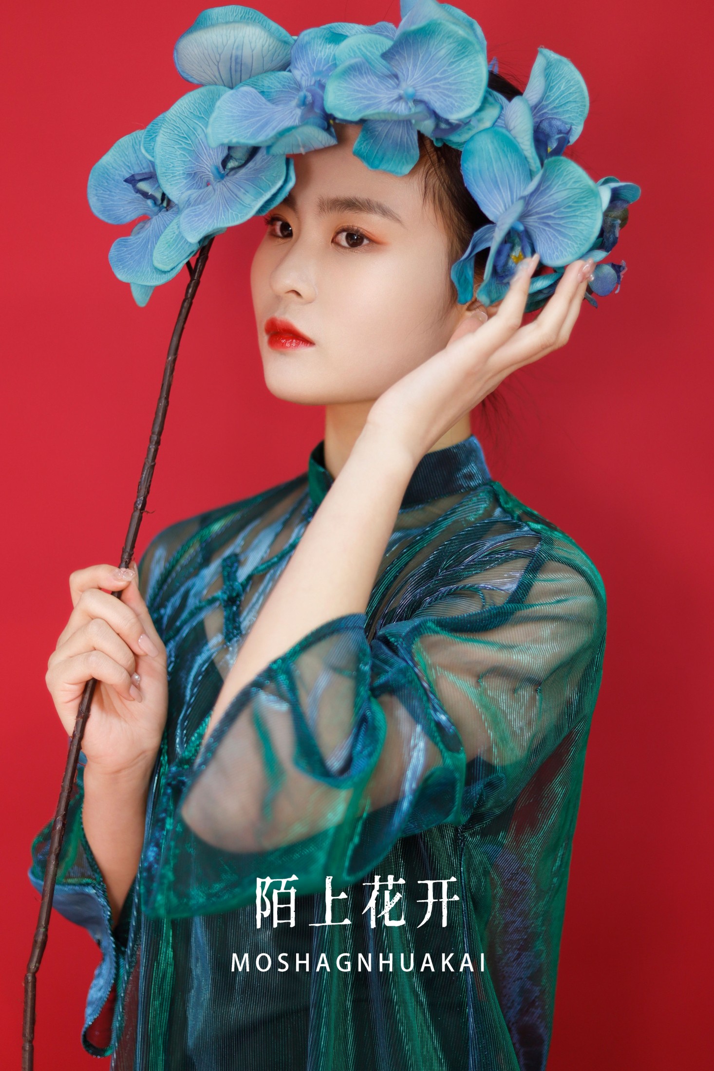 陌上花开