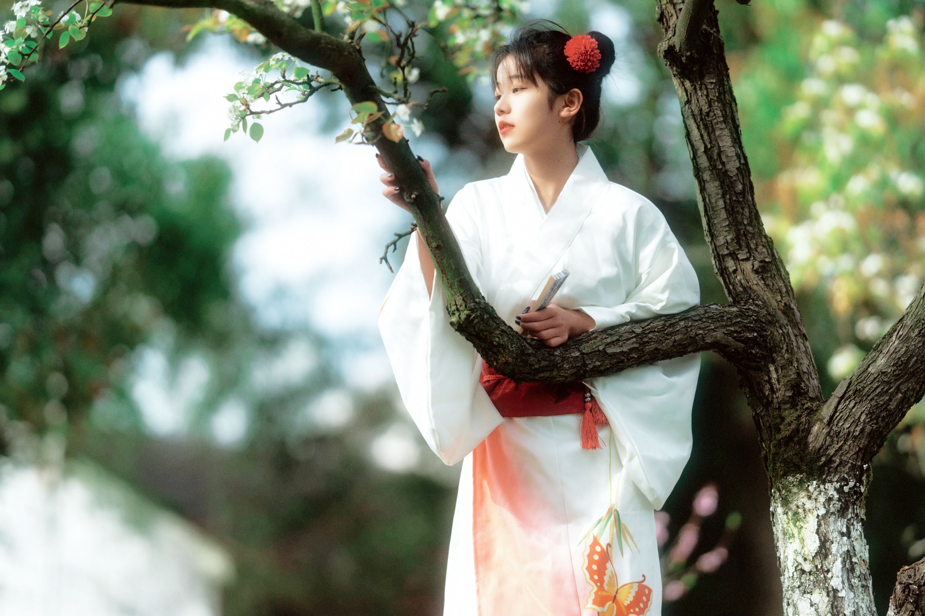 zzz – 《春日花》[24P]