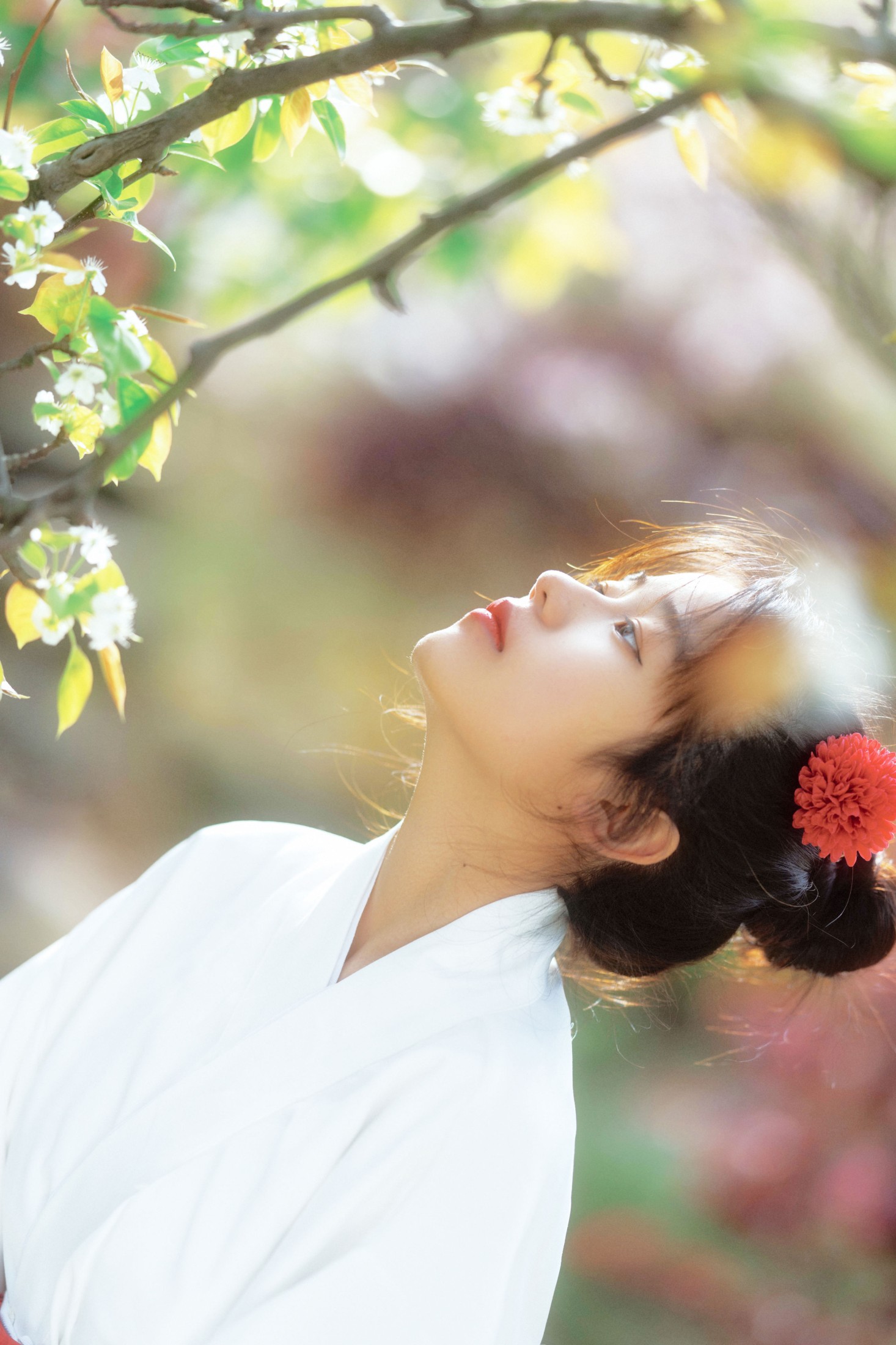 zzz – 《春日花》[24P]